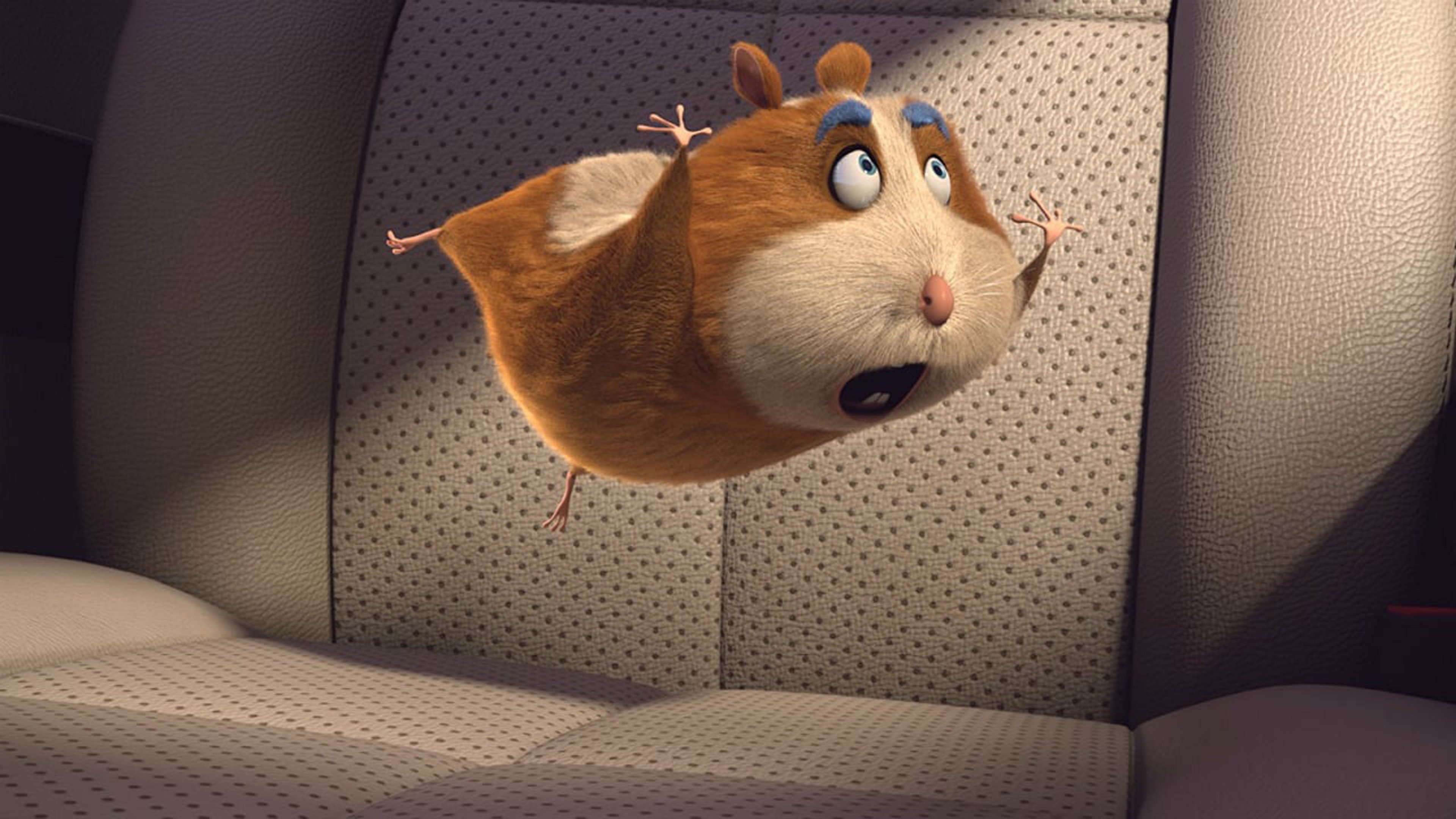 Animal Crackers: Trailer 1 - Trailers & Videos - Rotten Tomatoes Animal Crackers: Trailer 1 - Trailers & Videos - Rotten Tomatoes