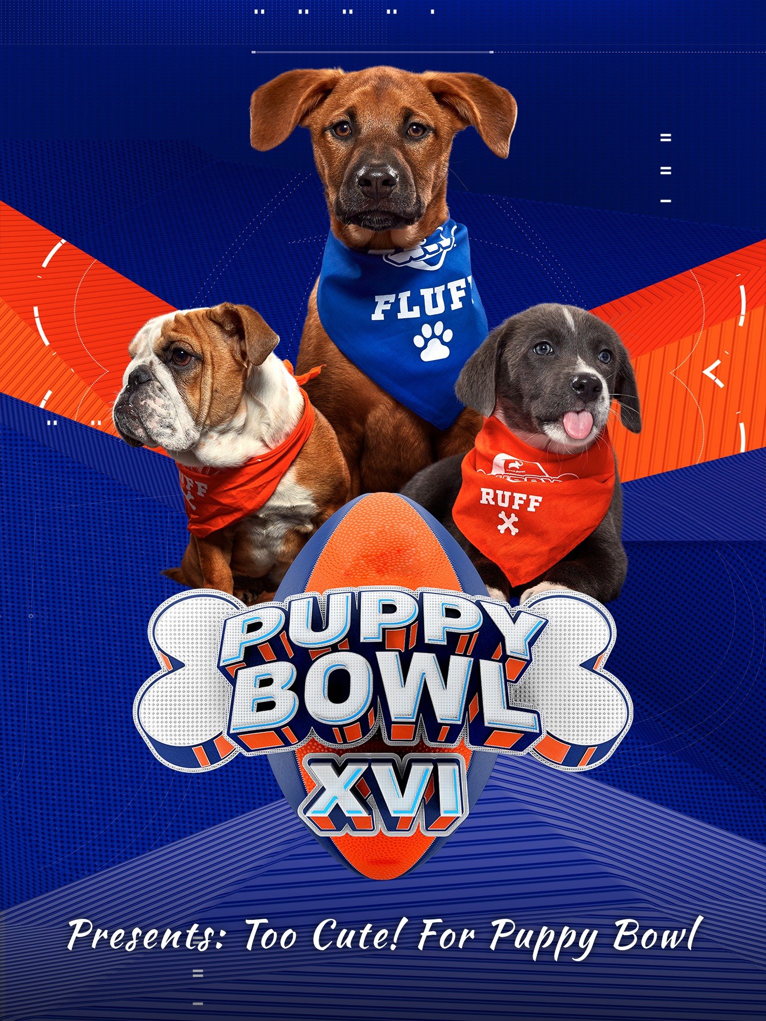 Puppy Bowl XVI Presents: Too Cute! For Puppy Bowl - Rotten Tomatoes
