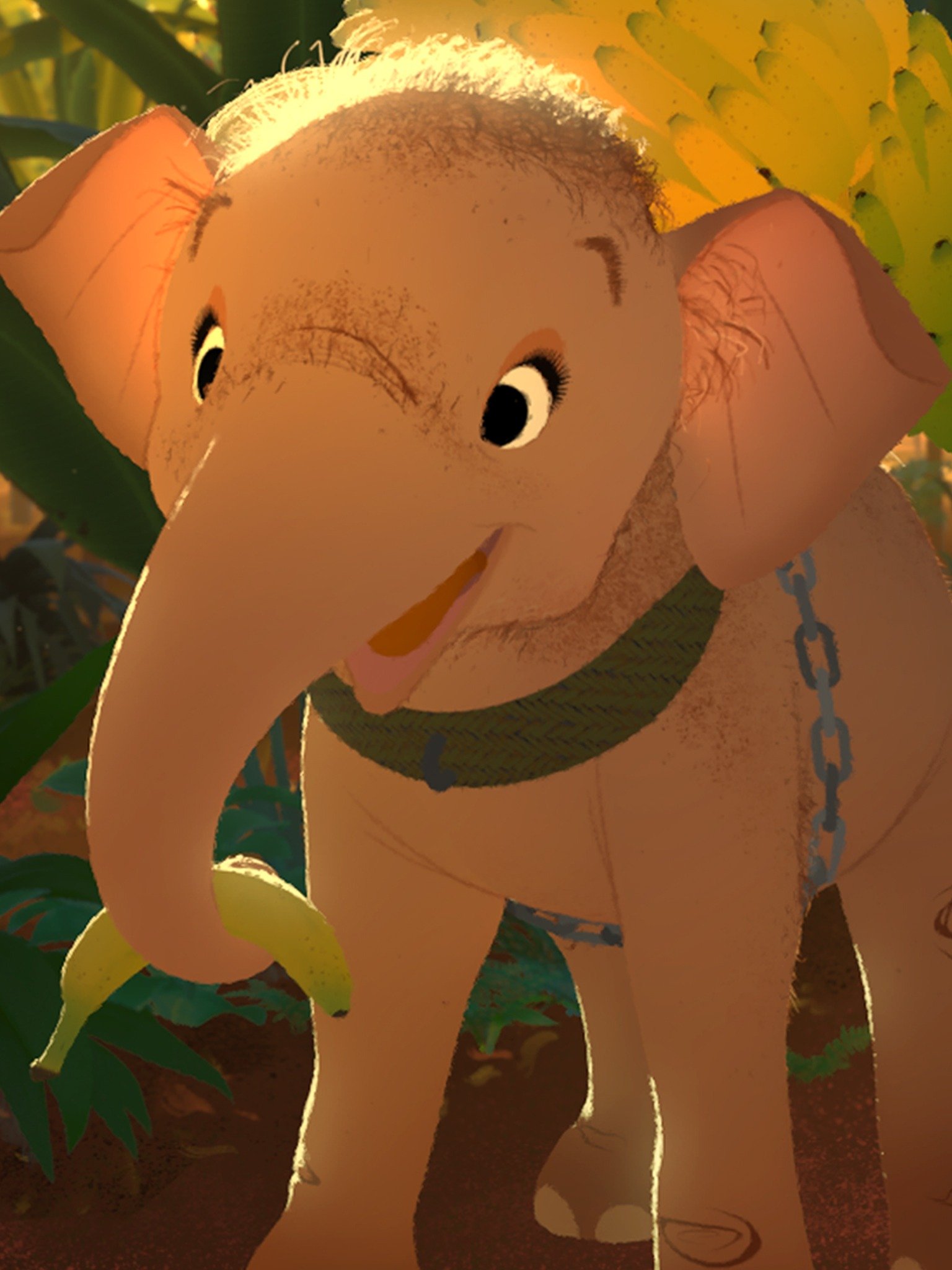 Elephant in the Room Pictures Rotten Tomatoes