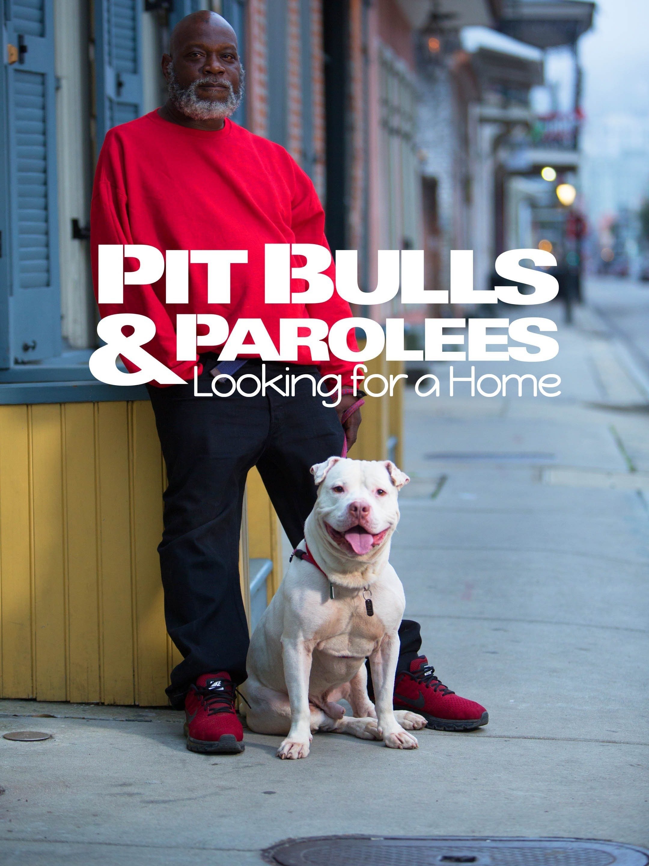 pitbulls and parolees dog leashes