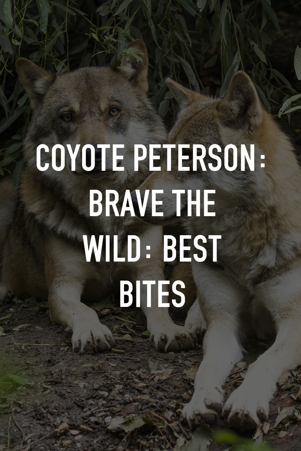 Coyote Peterson: Brave the Wild: Best Bites Pictures - Rotten Tomatoes