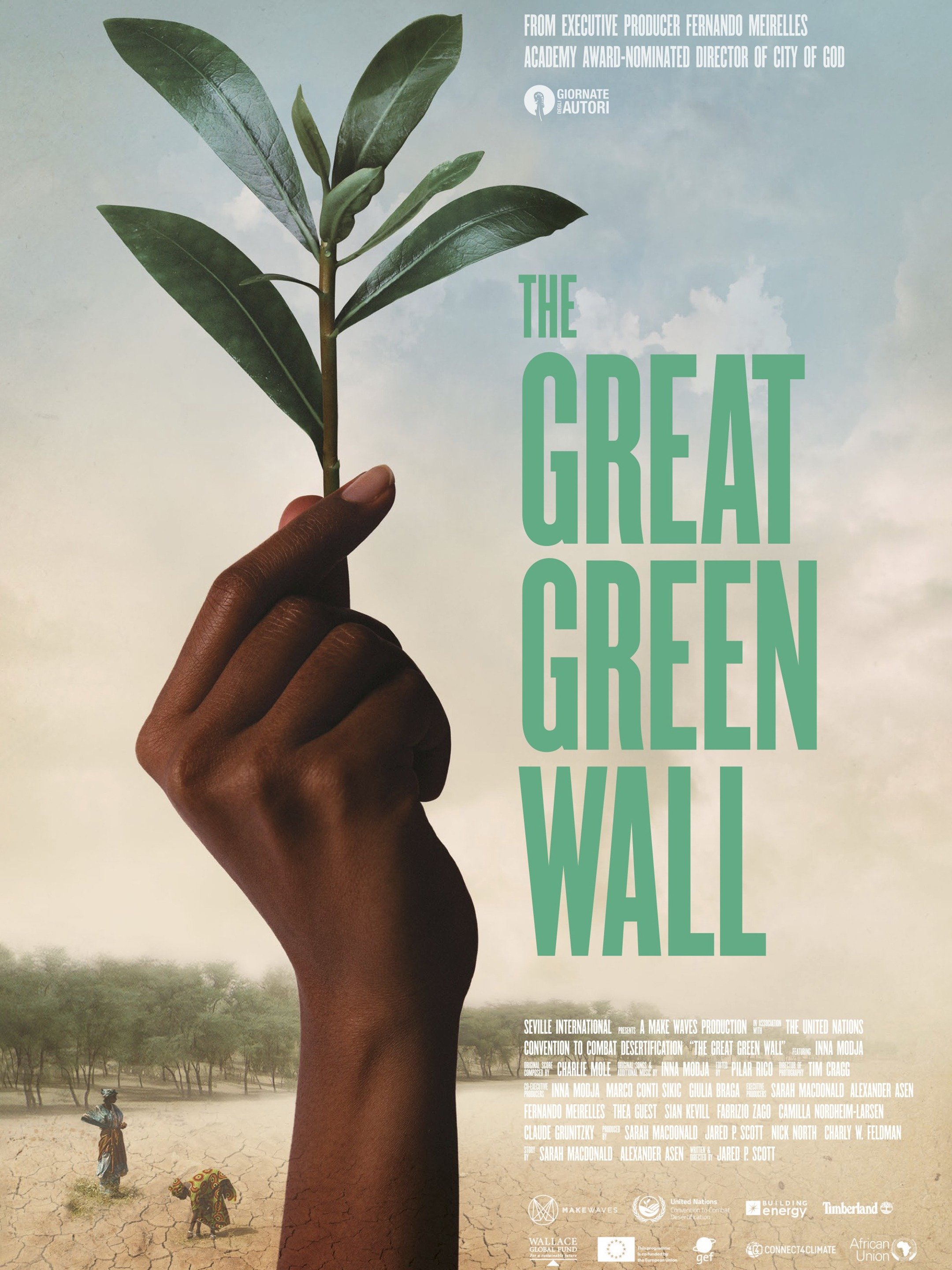 The Great Green Wall (2019) Rotten Tomatoes