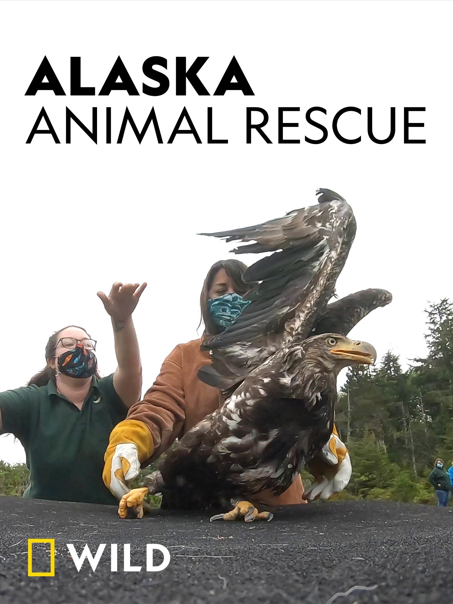 Alaska Animal Rescue Pictures - Rotten Tomatoes