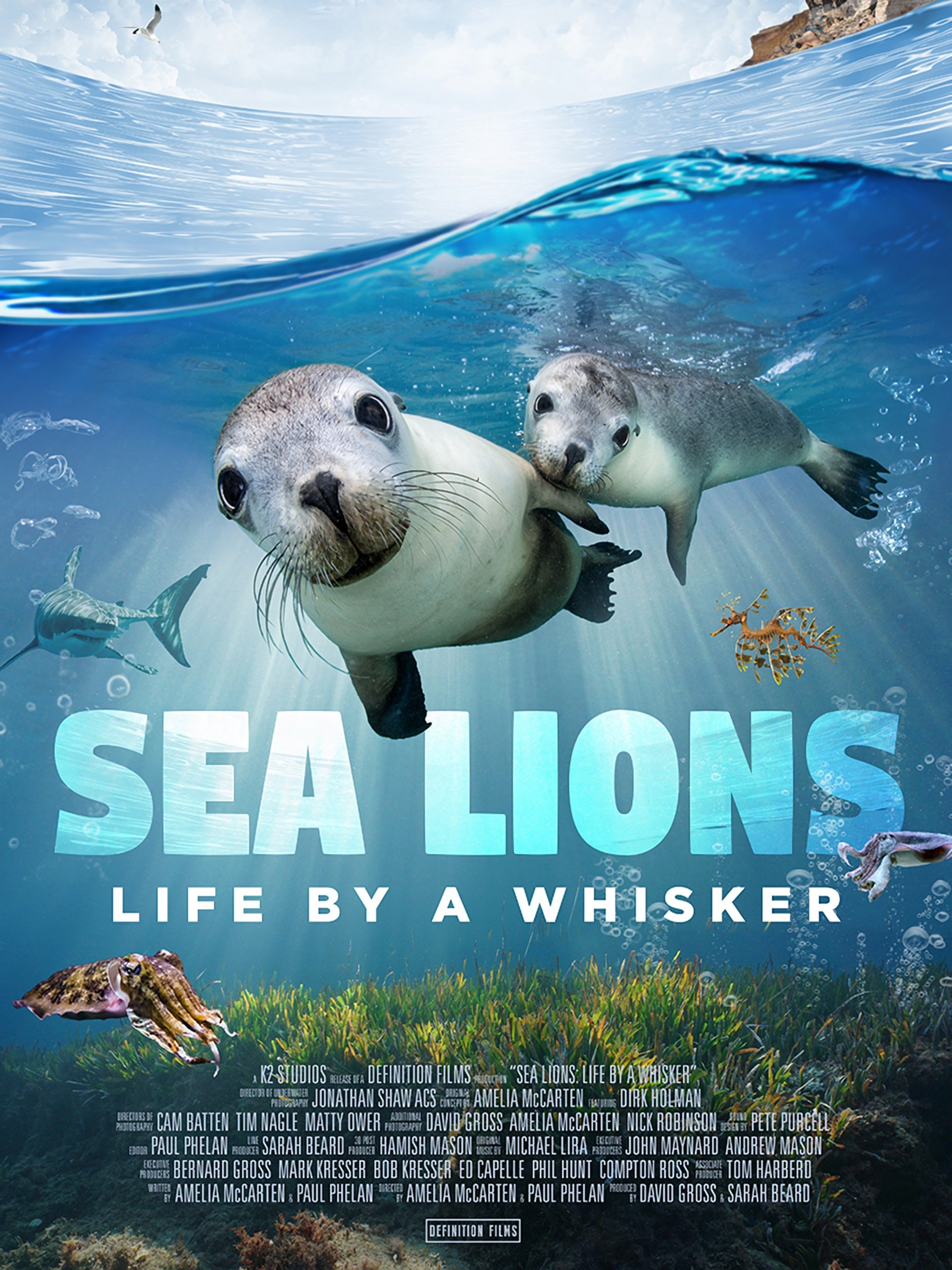 Sea Lions Life by a Whisker Rotten Tomatoes