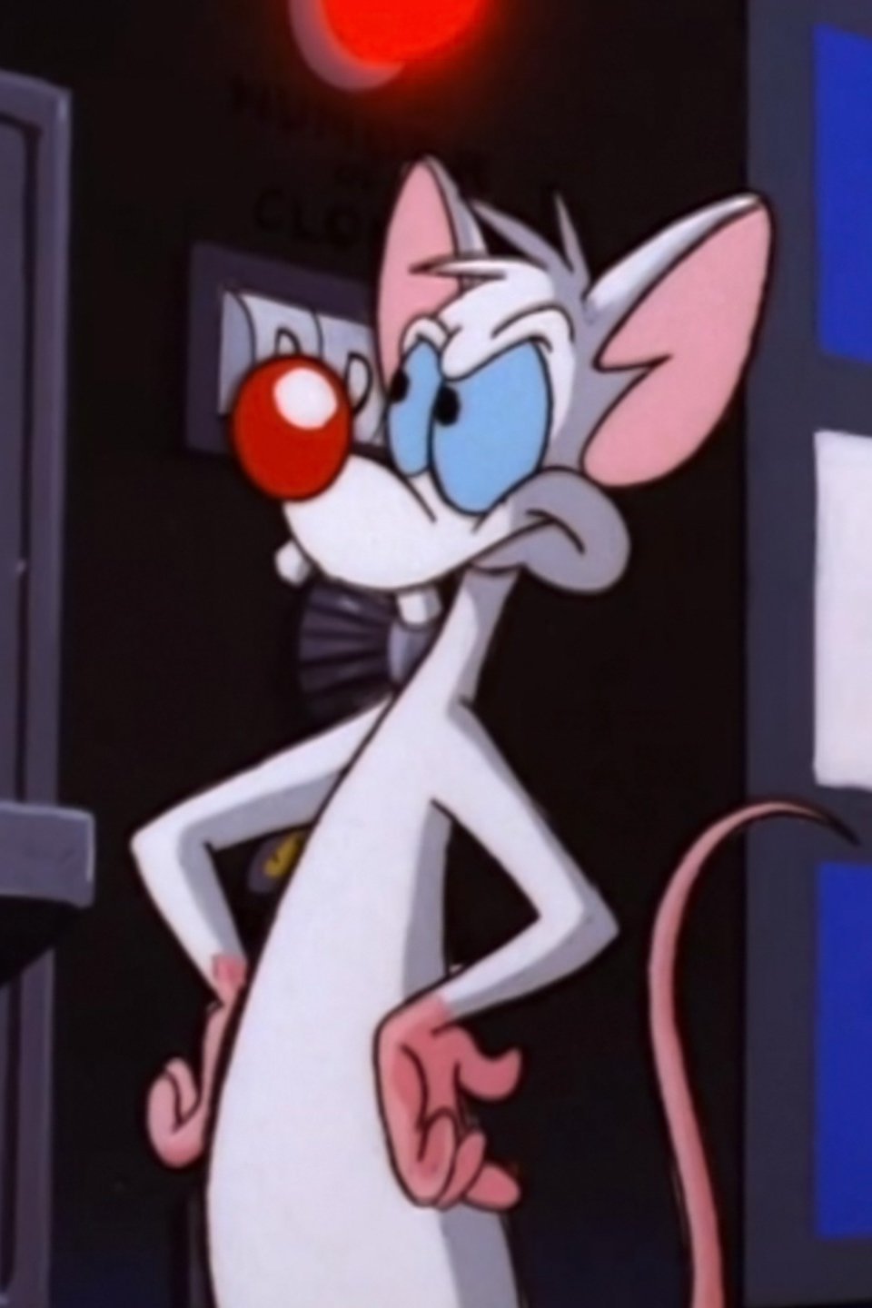 Pinky and the Brain Maker; Calvin Brain Pictures - Rotten Tomatoes