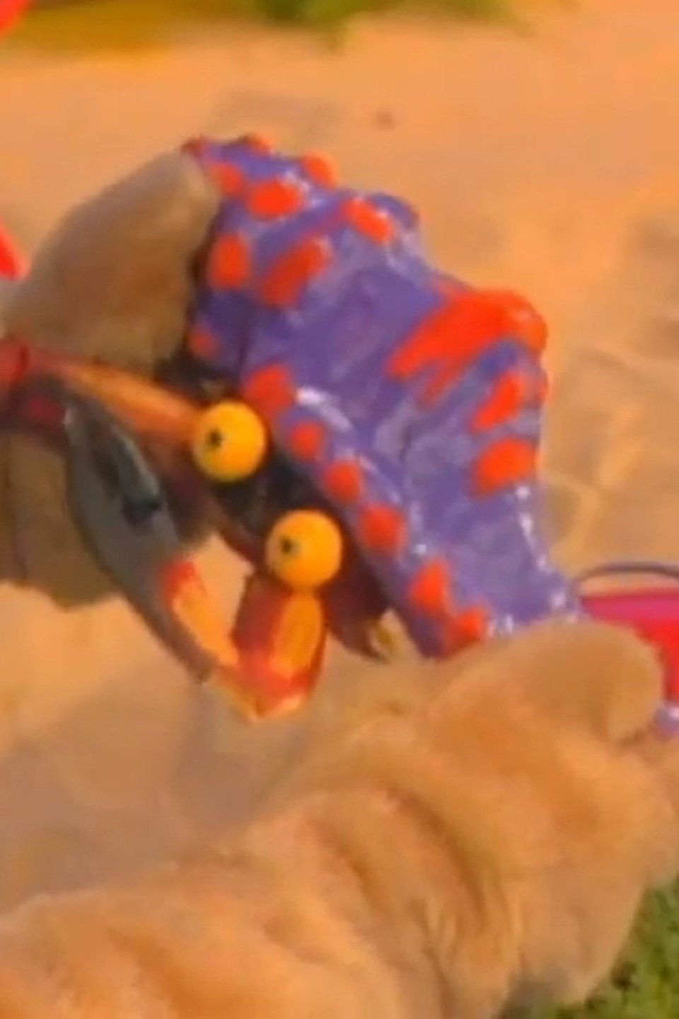 Crab Catchers Pictures Rotten Tomatoes