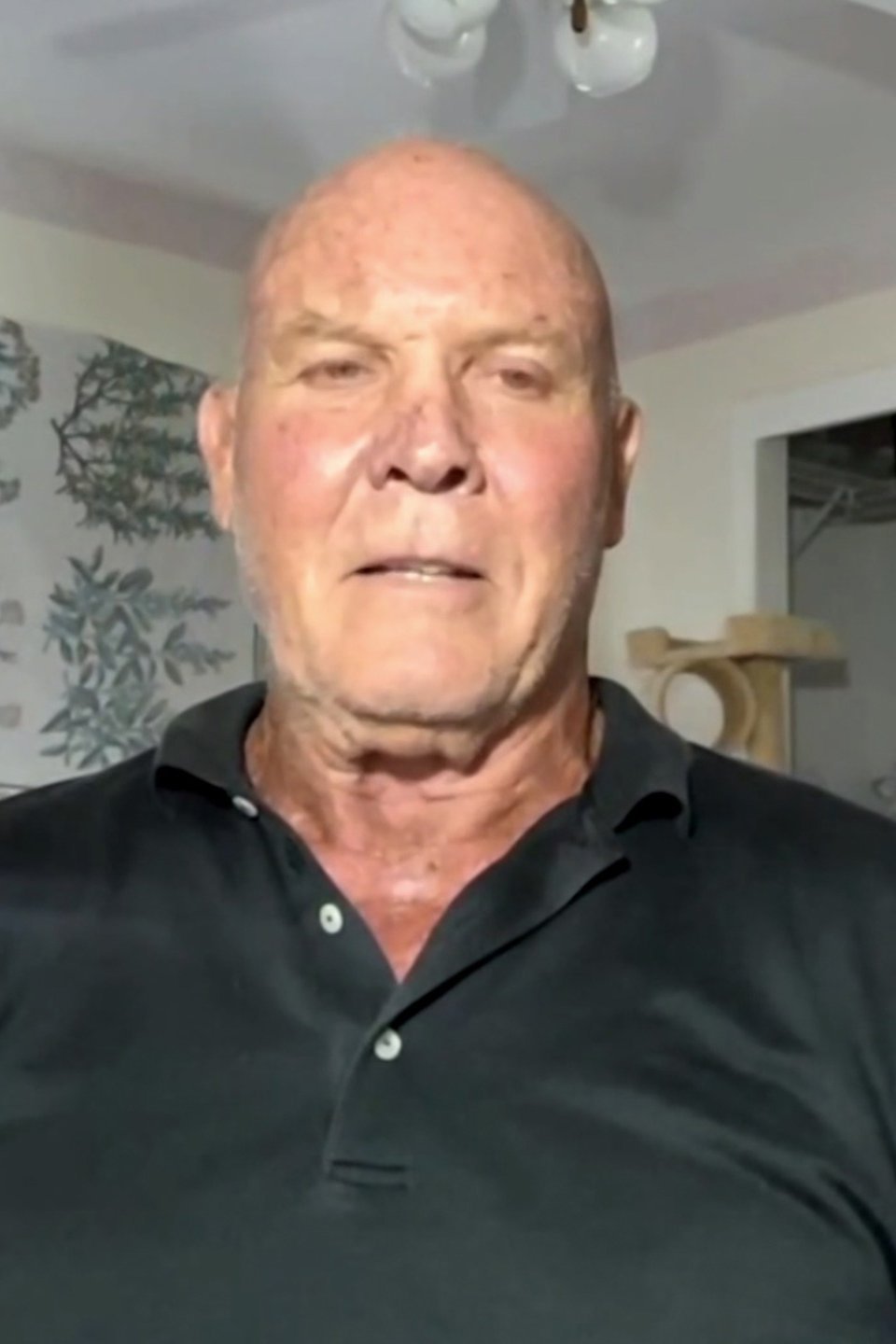 After Herb Abrams Pictures Rotten Tomatoes