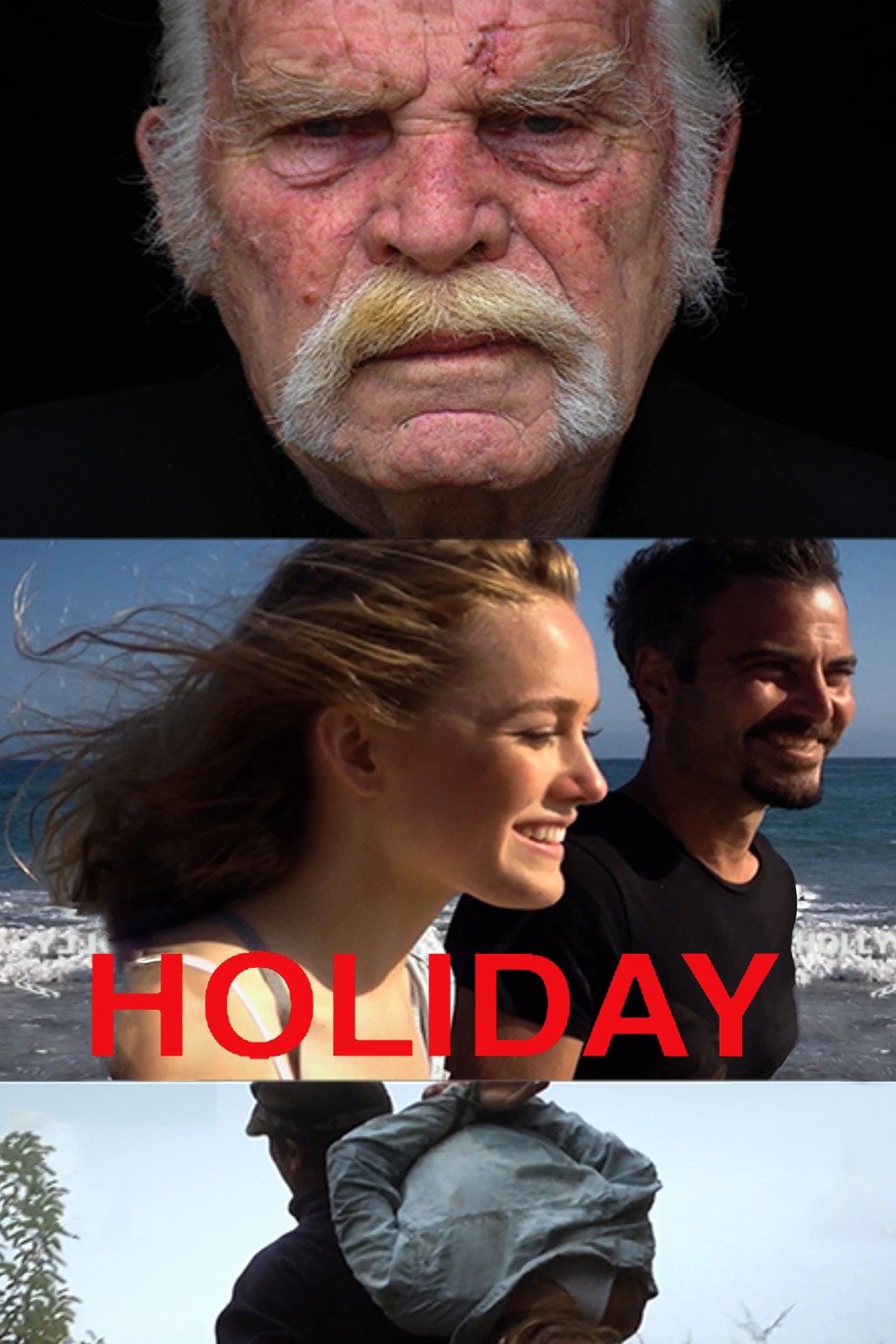 holiday-pictures-rotten-tomatoes