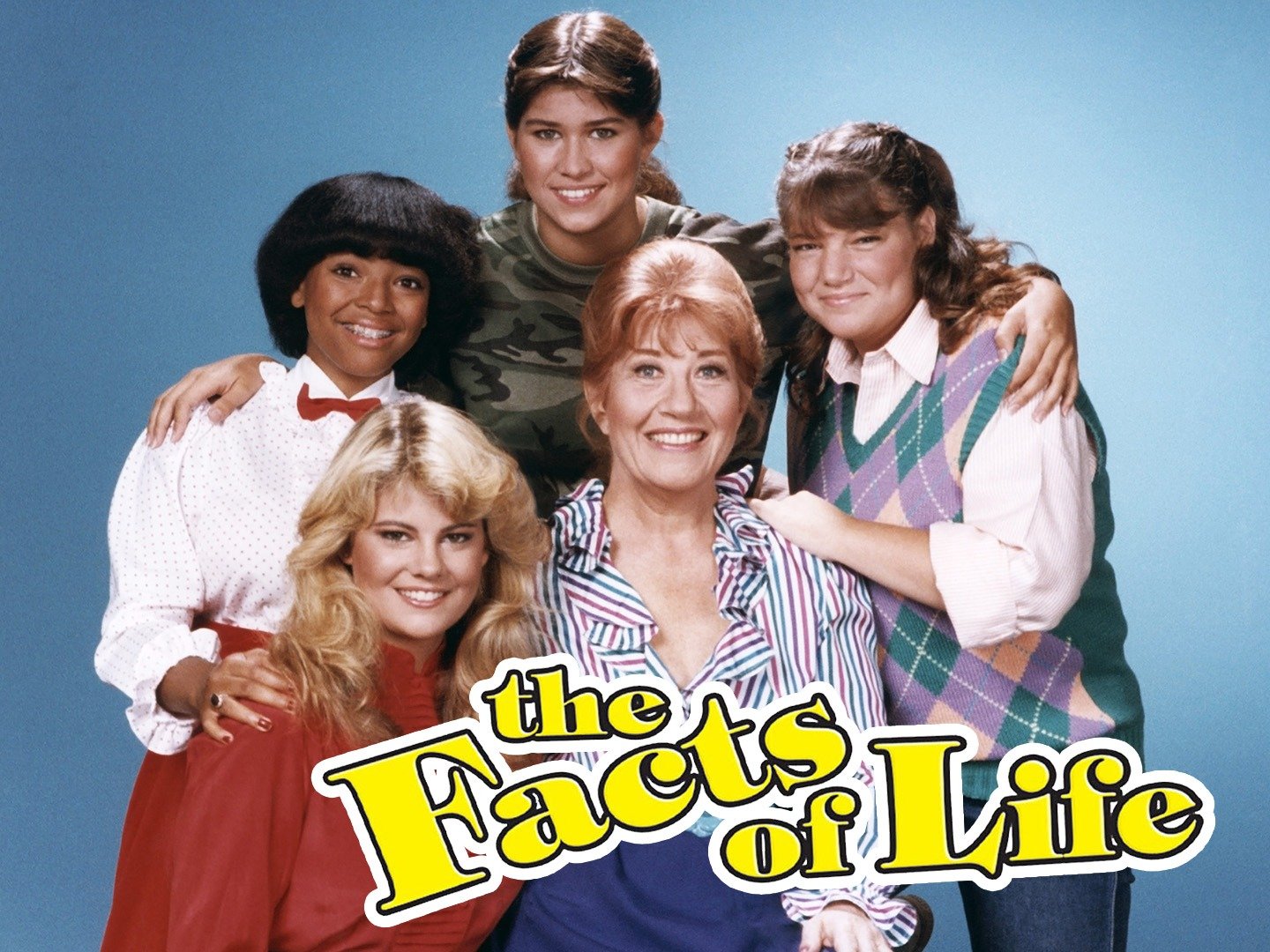 Joe Facts Of Life