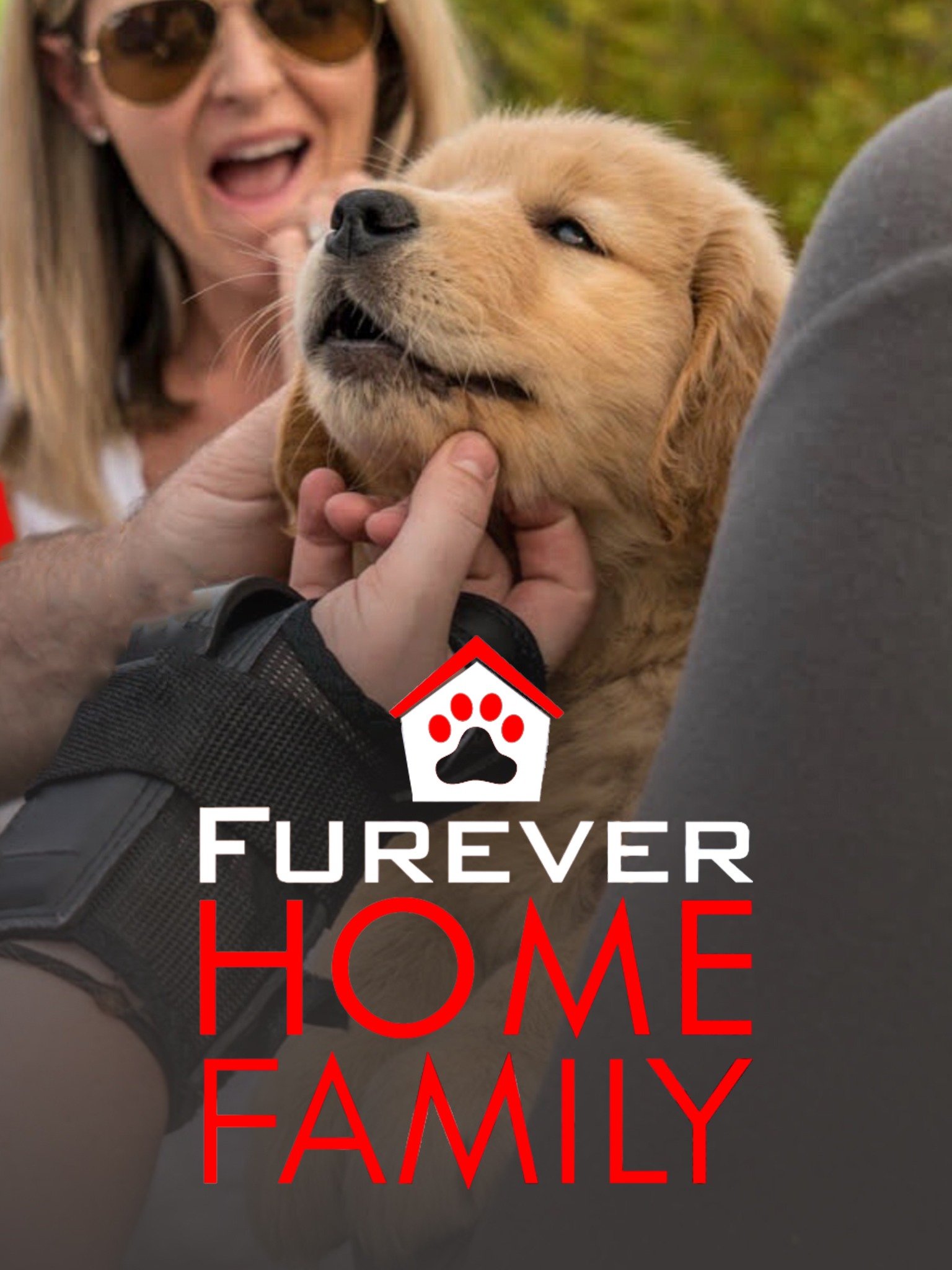 Furever Home Family - Rotten Tomatoes