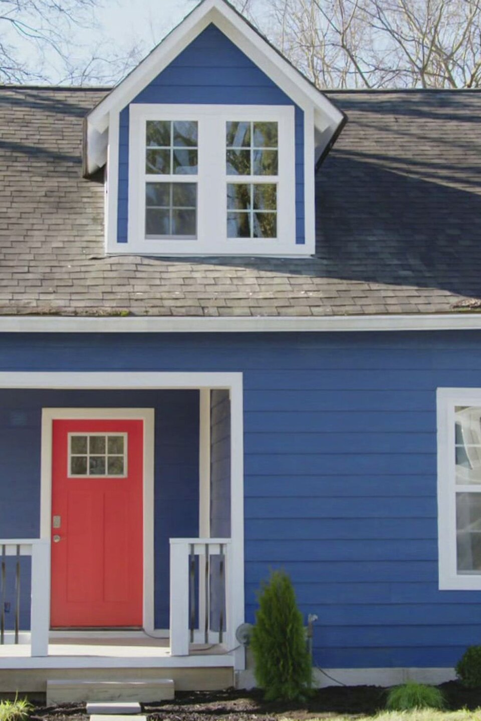 Gone to the Dogs Pictures Rotten Tomatoes