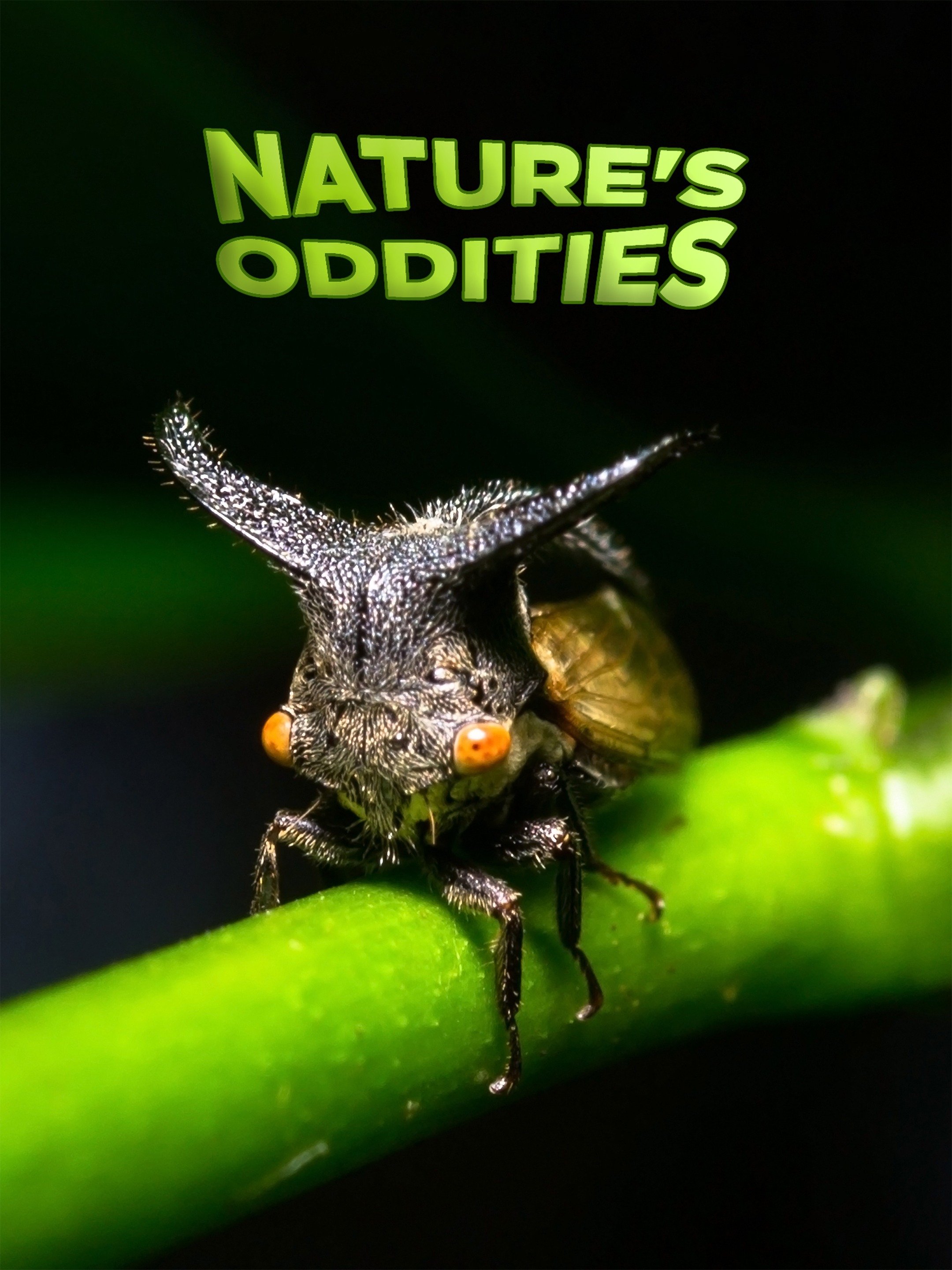 Nature's Oddities Pictures - Rotten Tomatoes