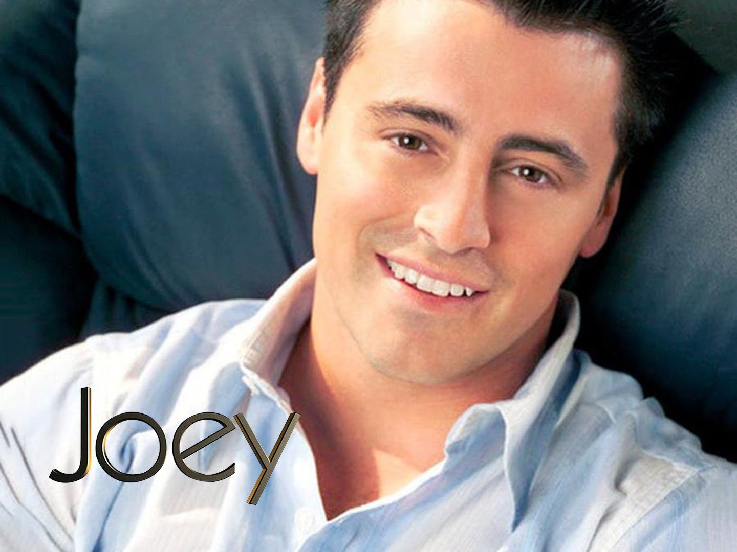 TV Show: Joey (2004-2006) TV Shows