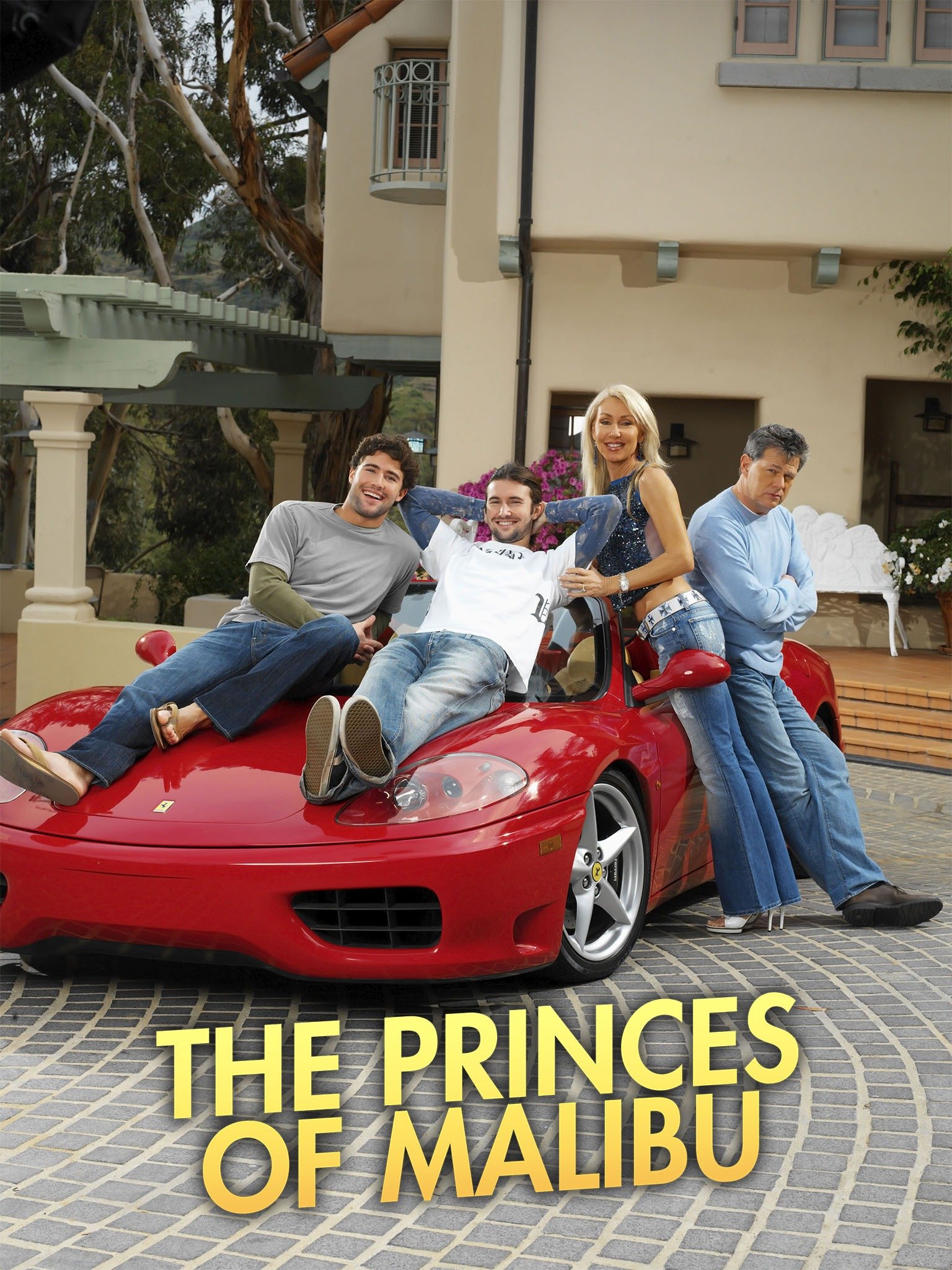 The Princes of Malibu Pictures Rotten Tomatoes