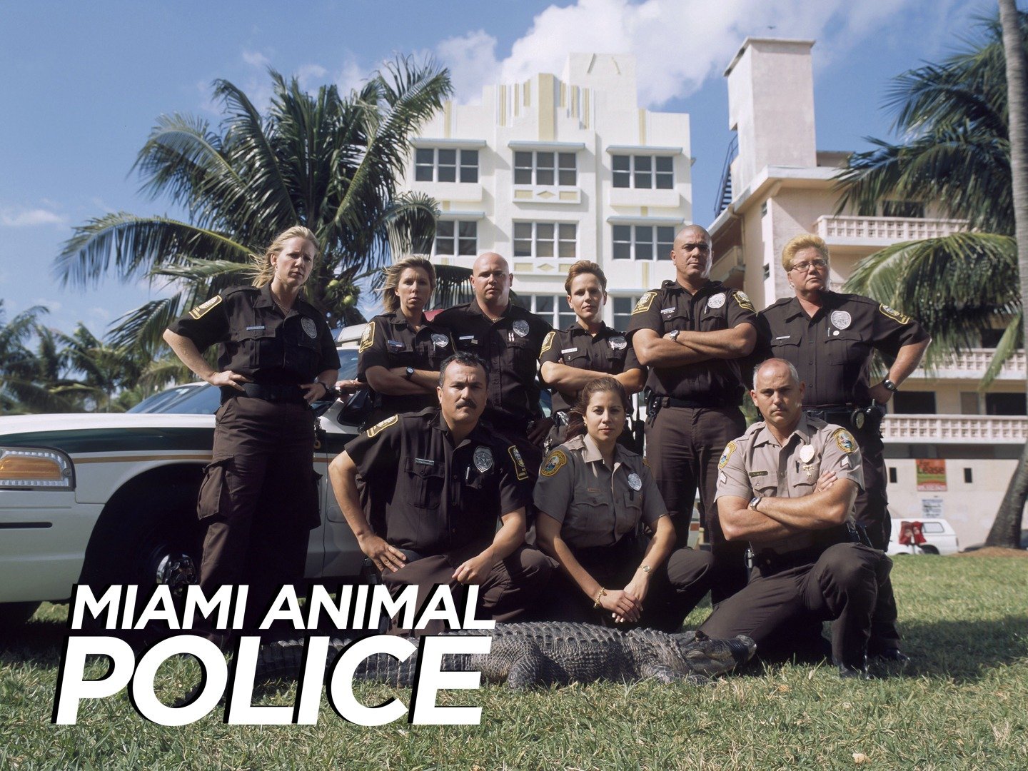 Miami Animal Police - Rotten Tomatoes