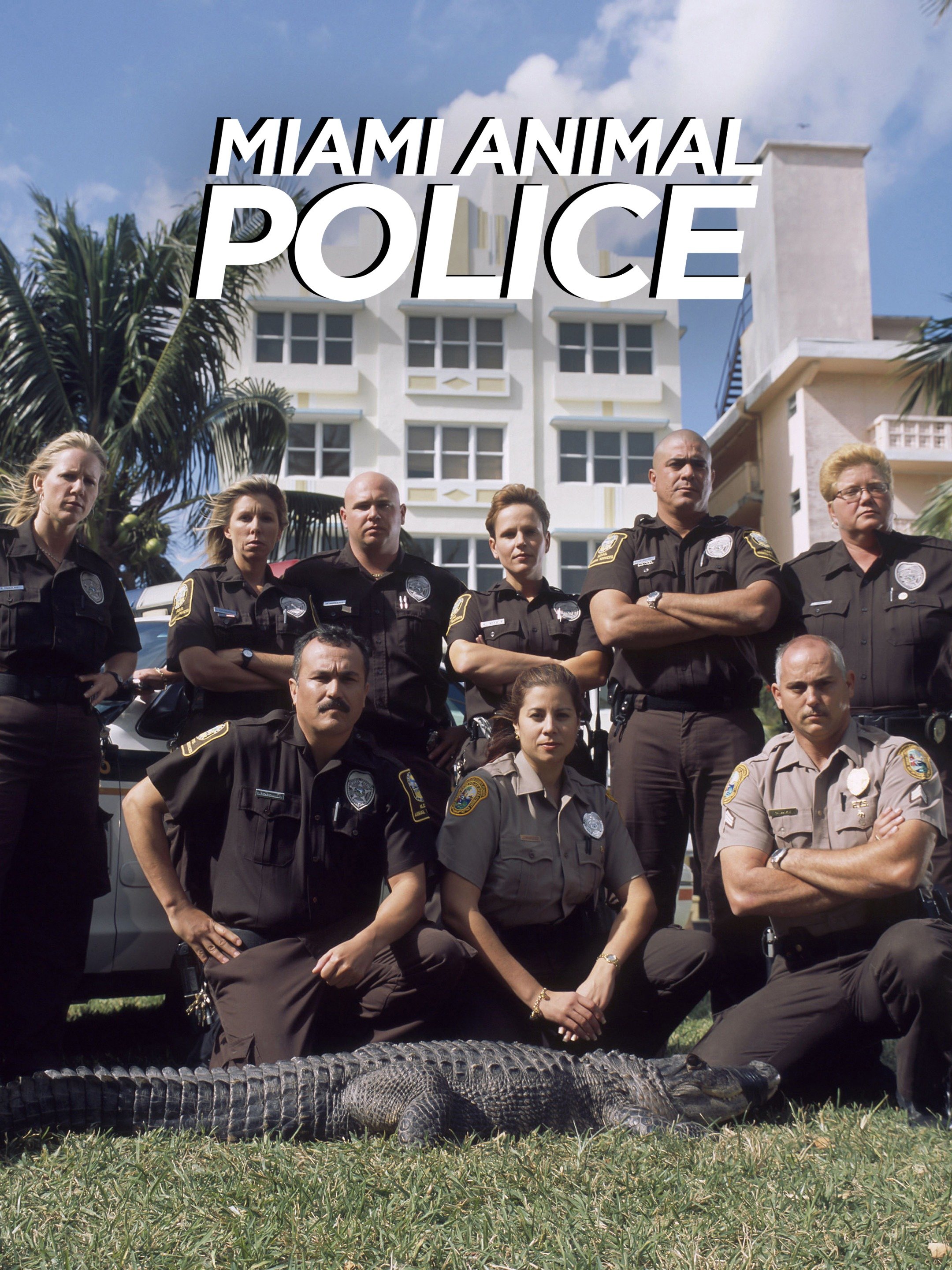 Miami Animal Police - Rotten Tomatoes Miami Animal Police - Rotten Tomatoes