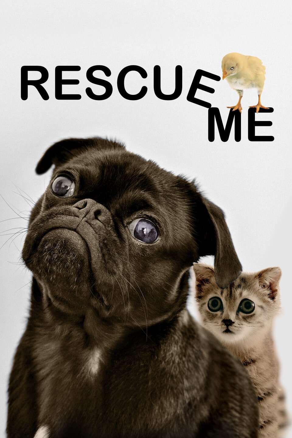 Rescue Me - Rotten Tomatoes