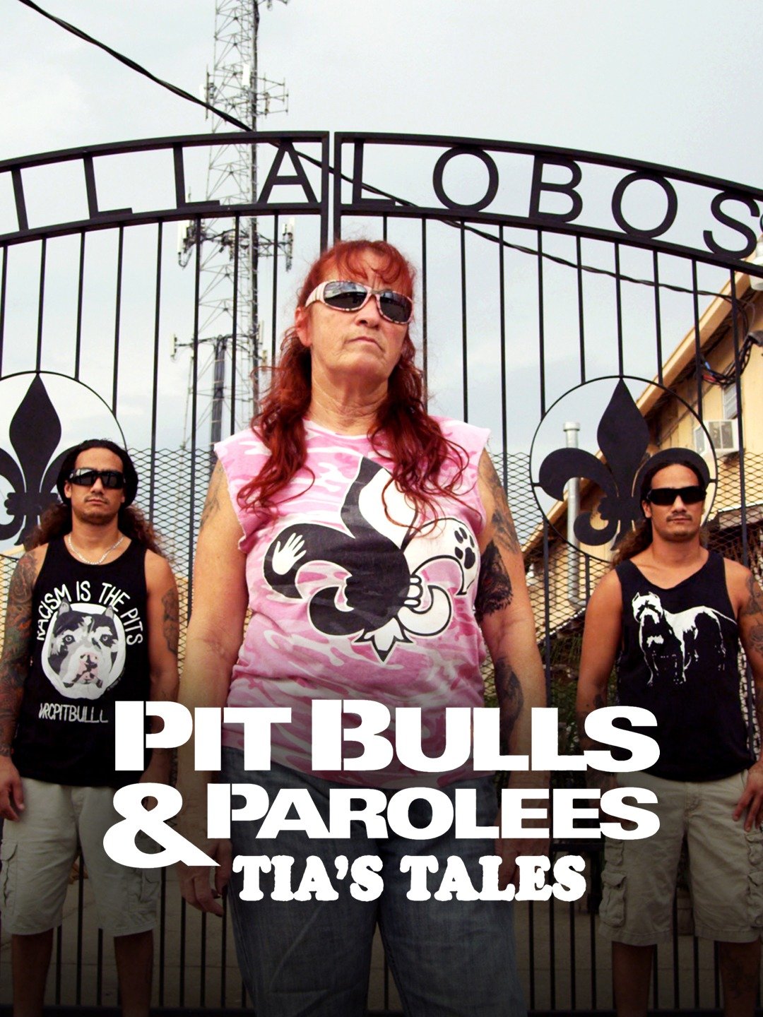 pitbull and parolees