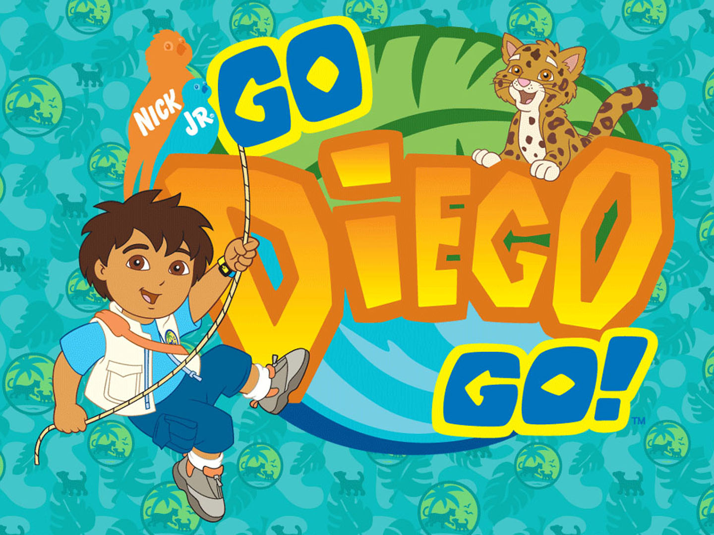 Go Diego Go episodes TV Series 2005  2011
