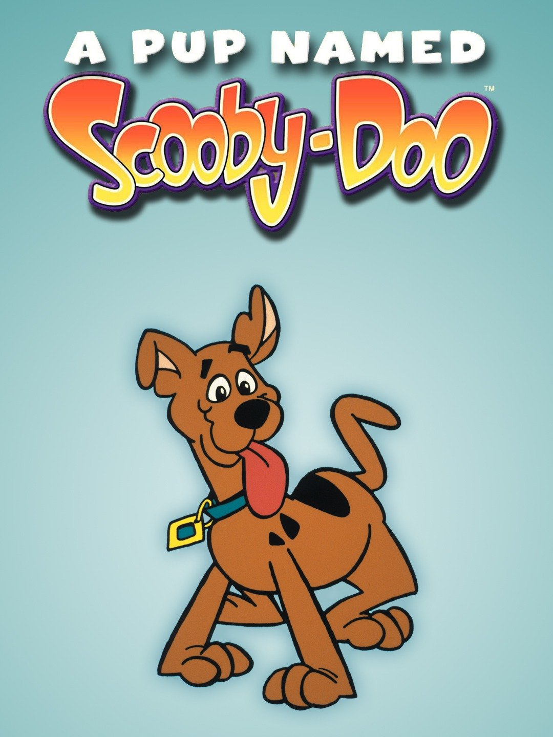 A pup named scooby-doo