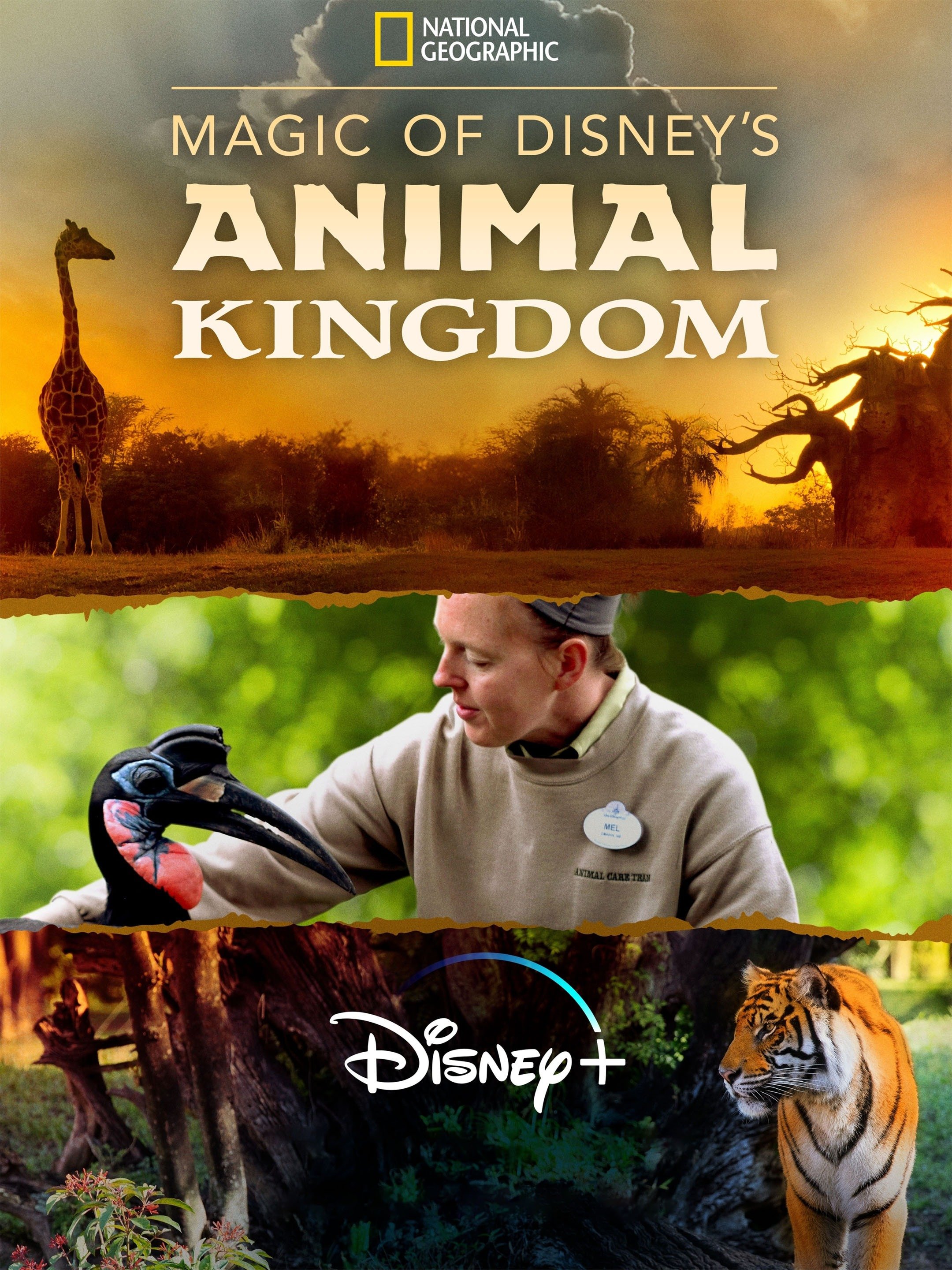 Magic of Disney's Animal Kingdom - Rotten Tomatoes