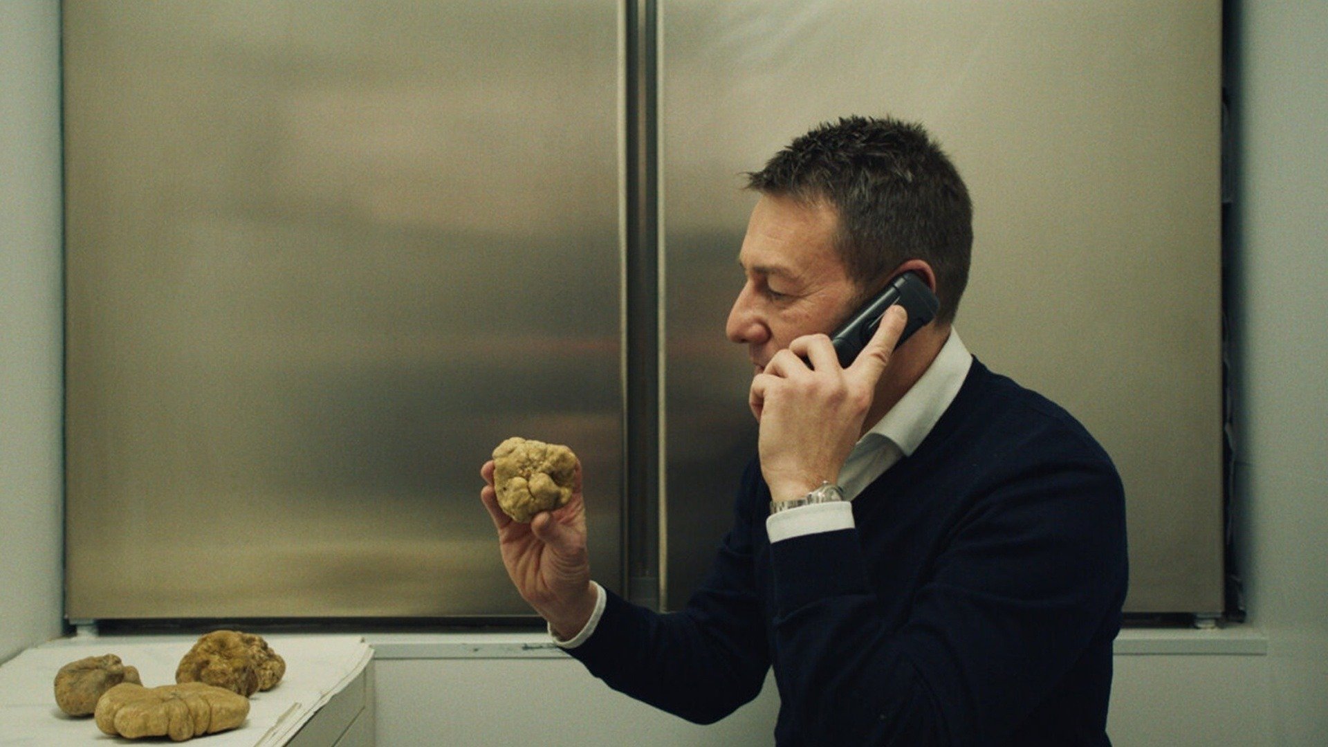 The Truffle Hunters Trailer 1 Trailers & Videos Rotten Tomatoes