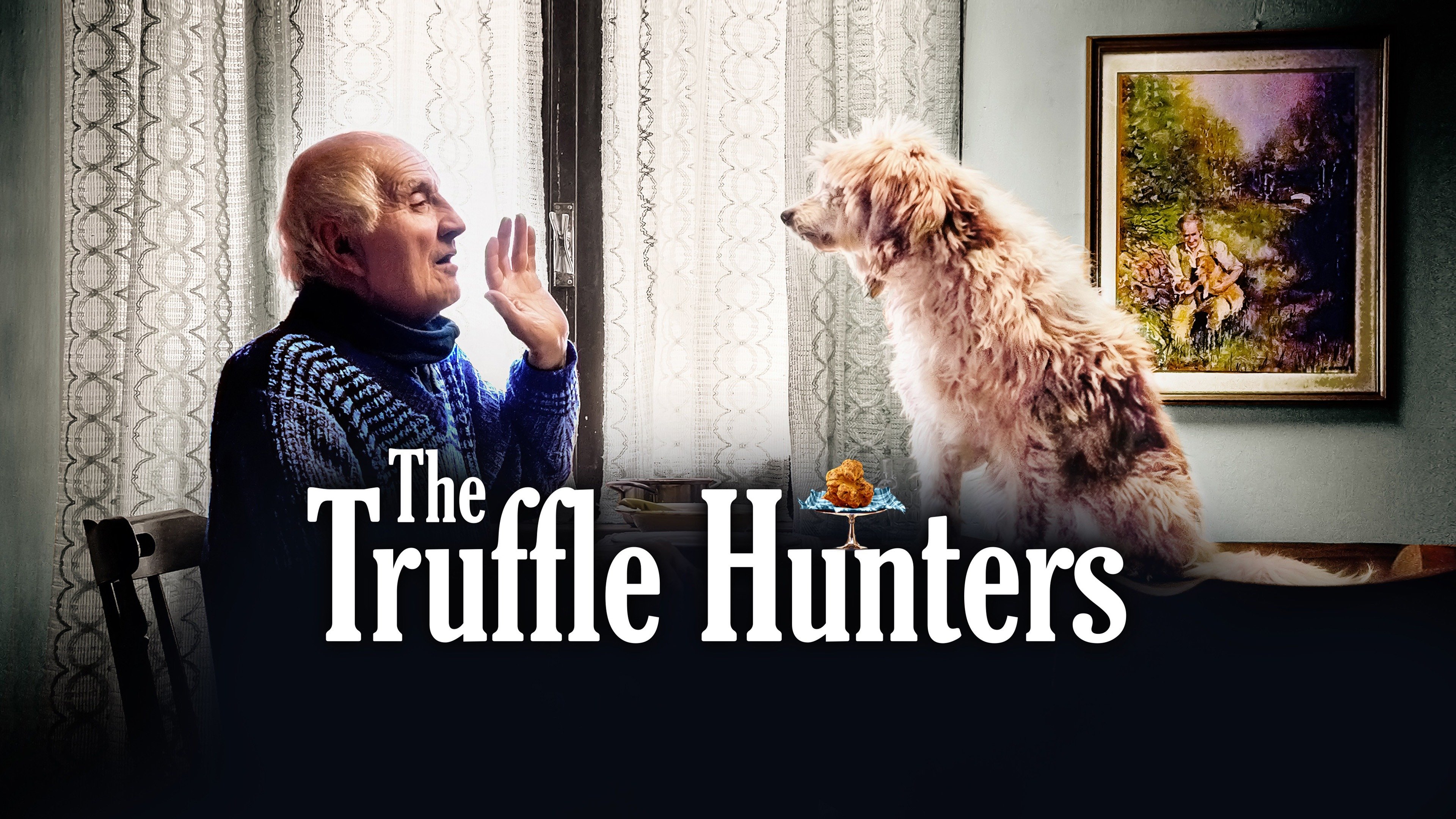 The Truffle Hunters Trailer 1 Trailers & Videos Rotten Tomatoes