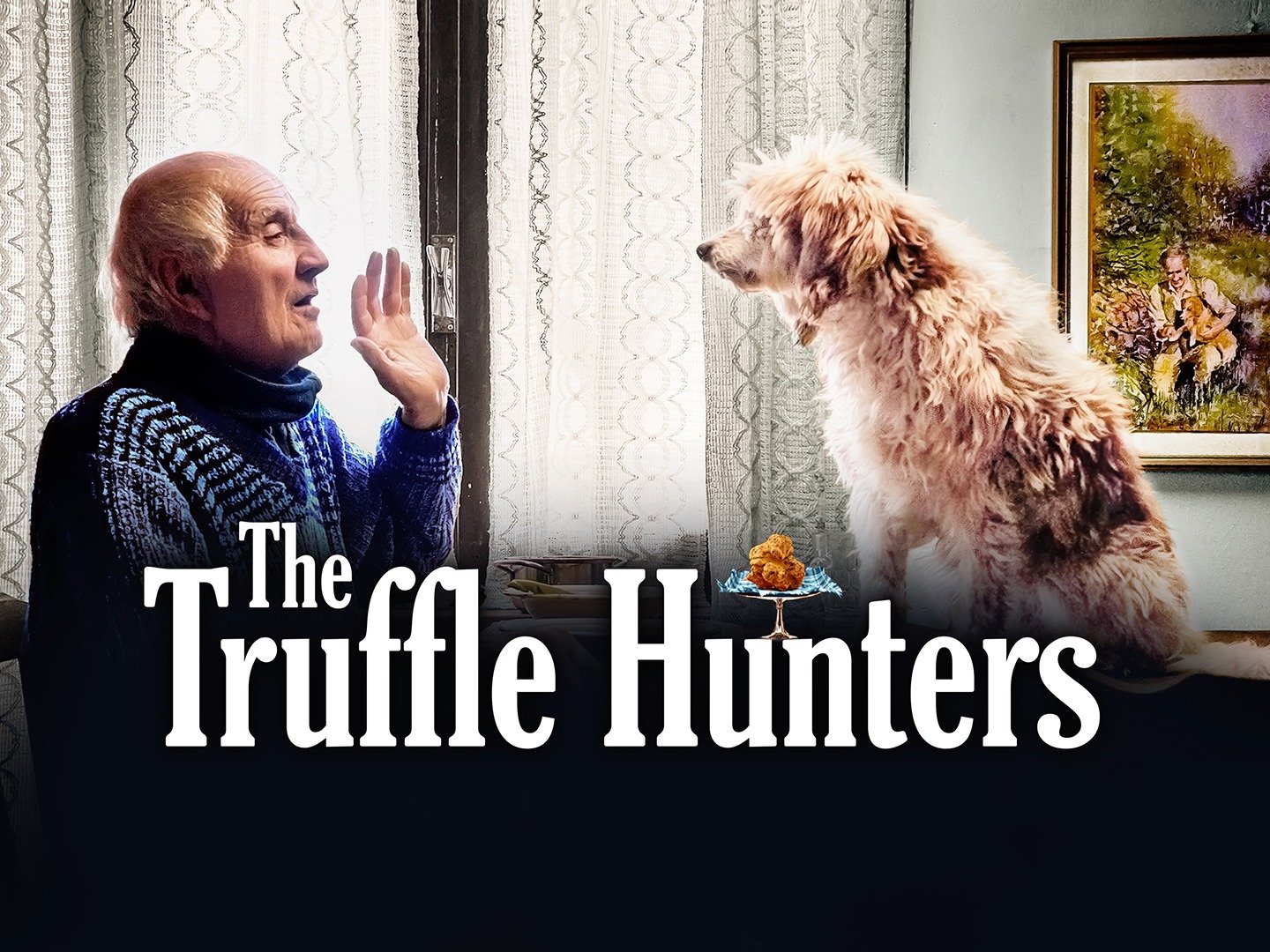 The Truffle Hunters Trailer 1 Trailers & Videos Rotten Tomatoes