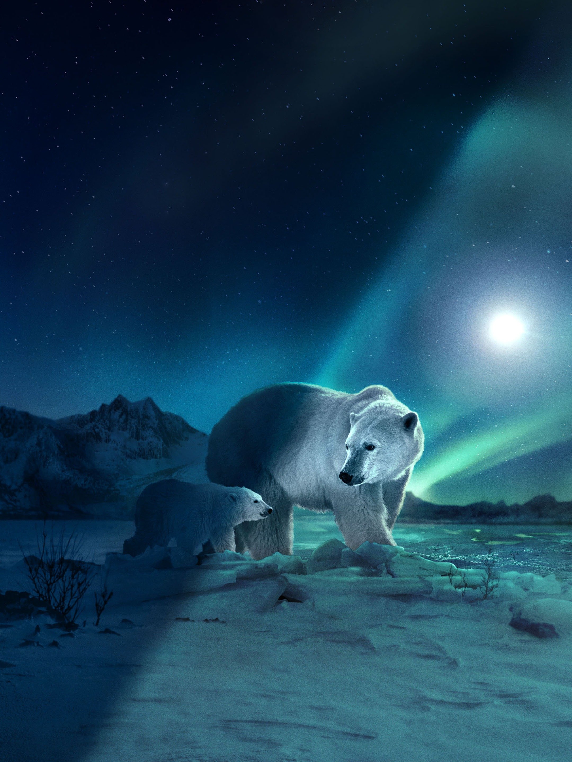 Kangaroo Valley Pictures Rotten Tomatoes