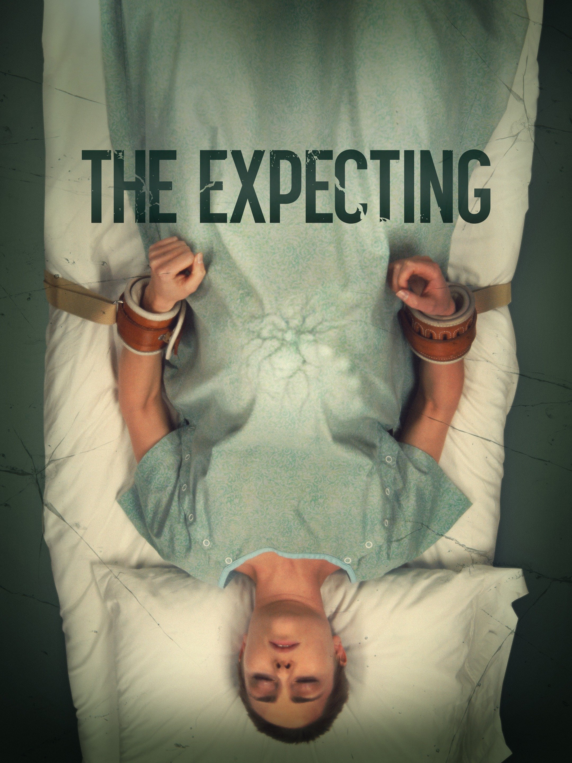 The expecting pelicula