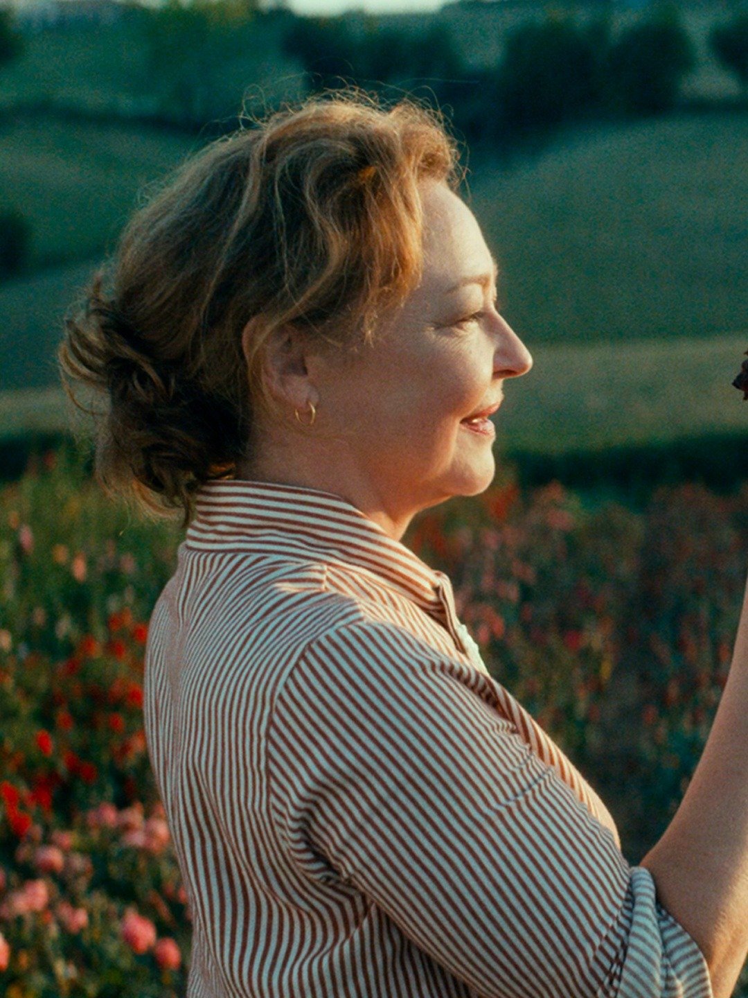 the-rose-maker-trailer-1-trailers-videos-rotten-tomatoes