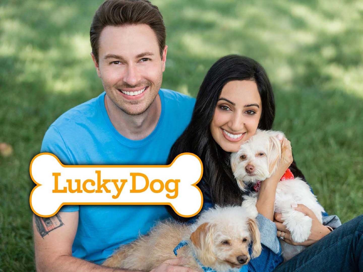 Lucky Dog Rotten Tomatoes