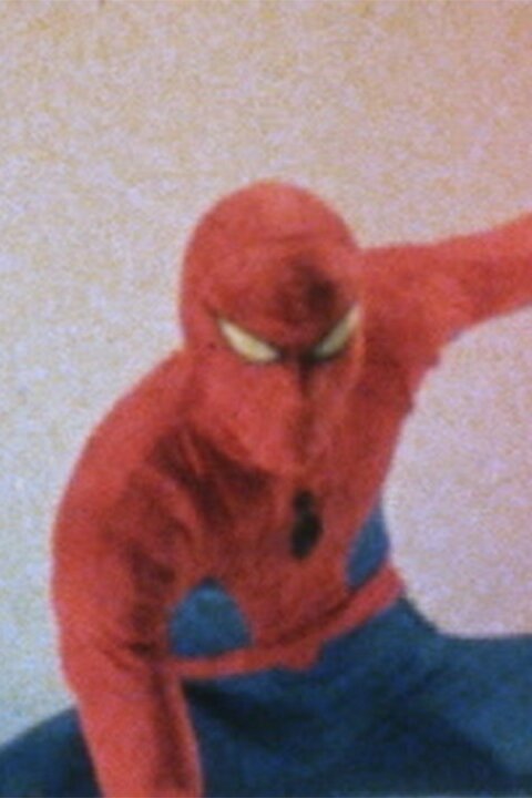 Japanese Spider Man Pictures Rotten Tomatoes