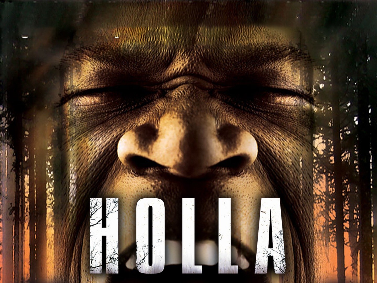holla-movie-reviews