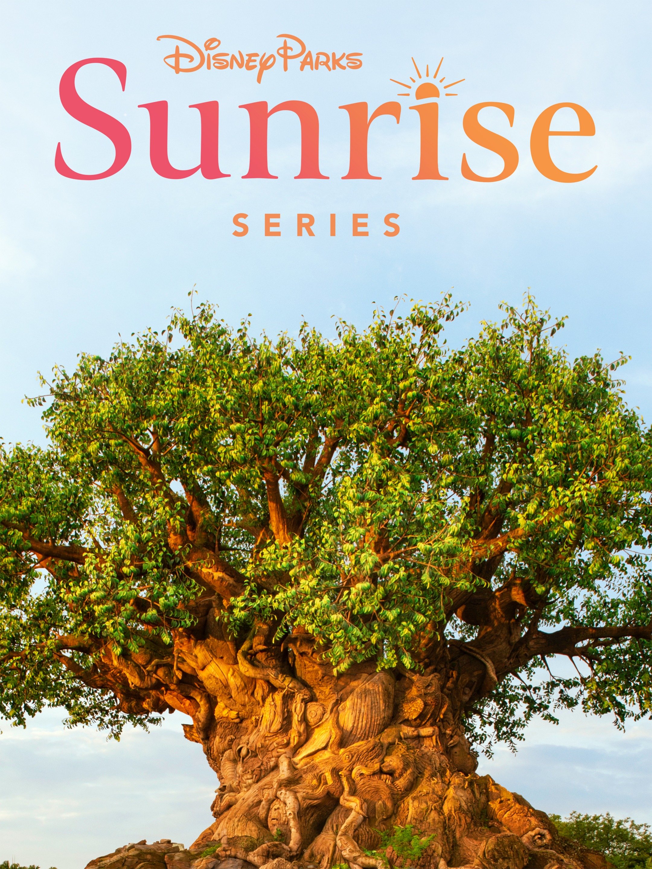 disney-parks-sunrise-series-pictures-rotten-tomatoes