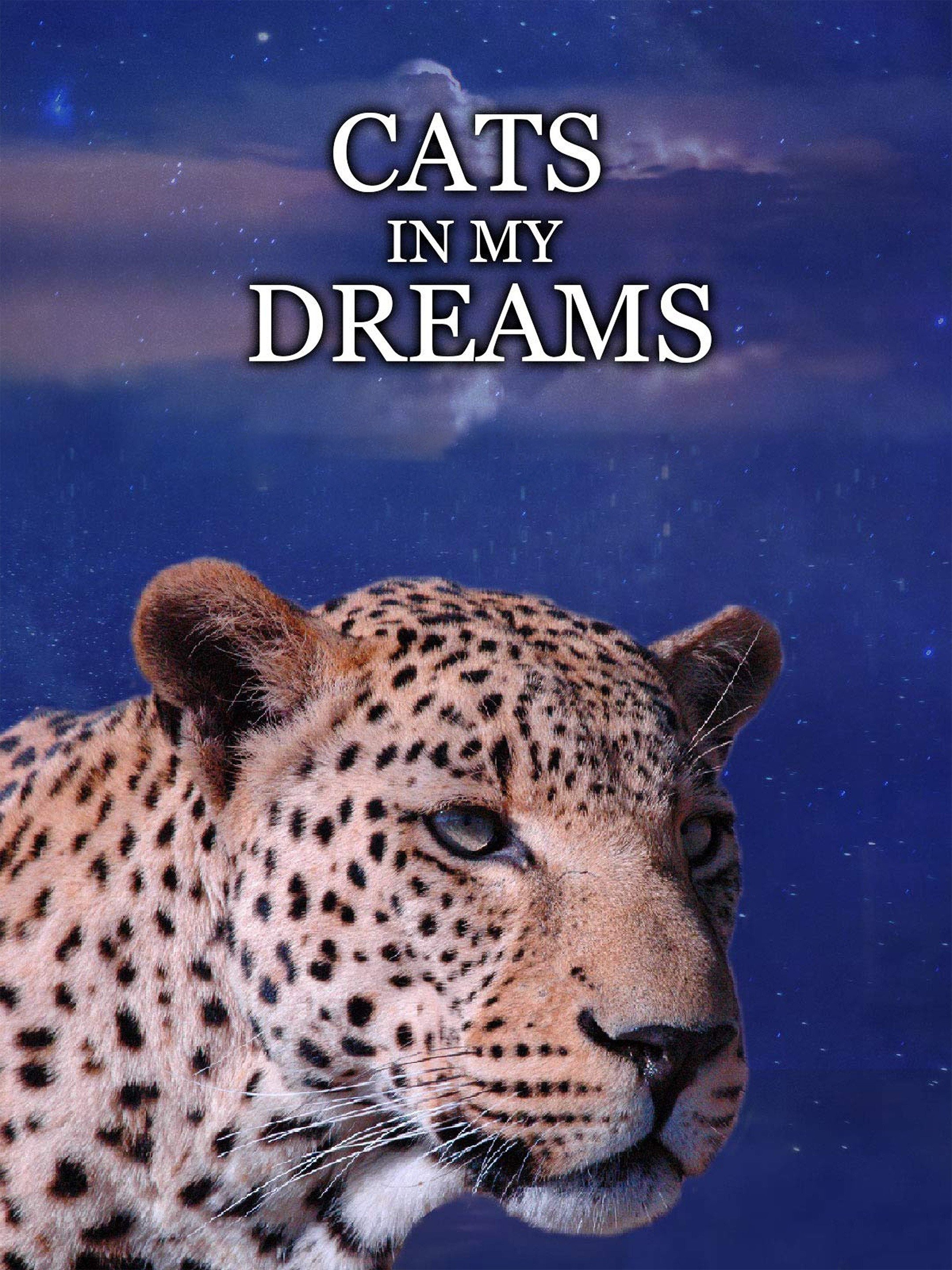 Cats in my Dreams Pictures Rotten Tomatoes