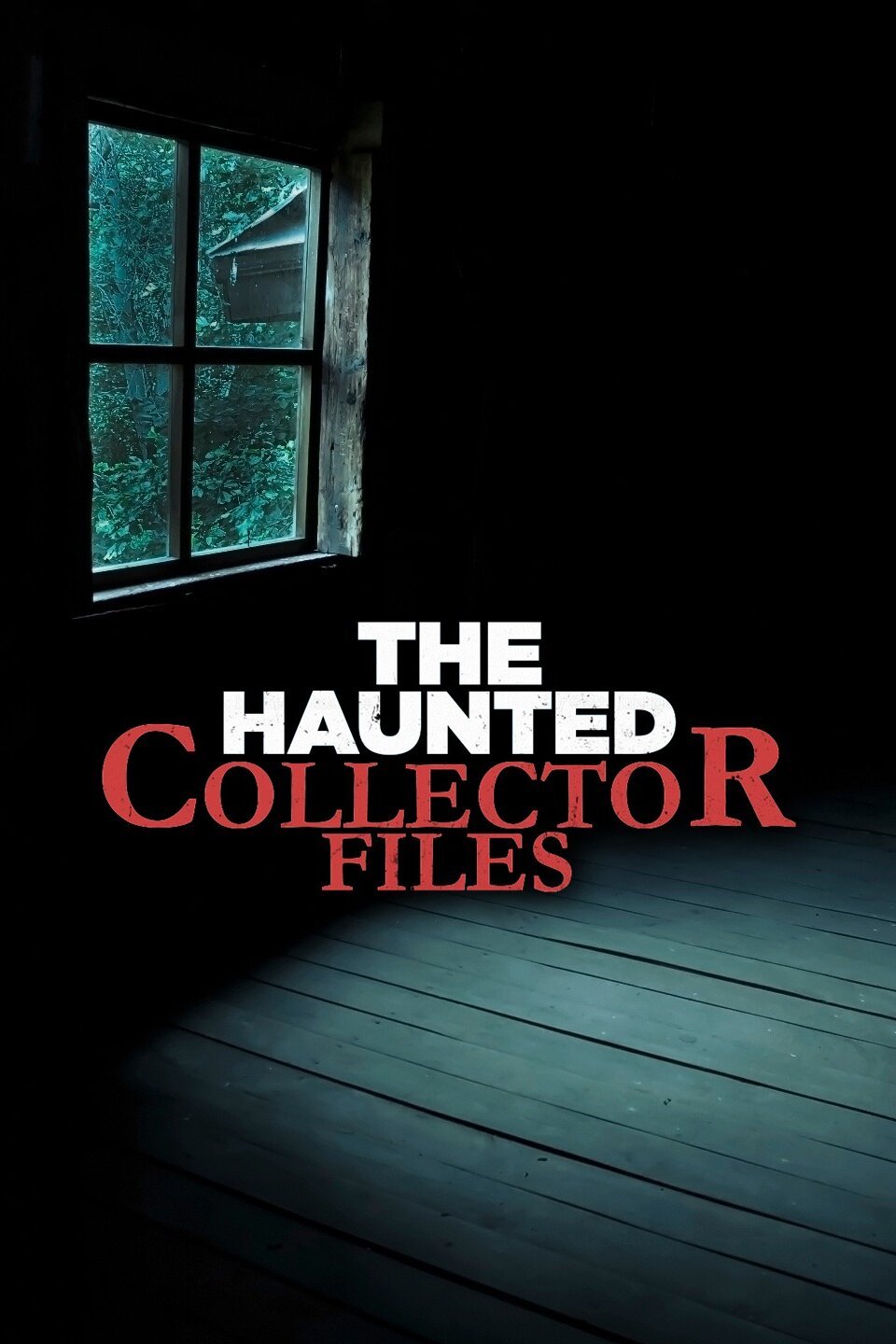 The haunted collector files