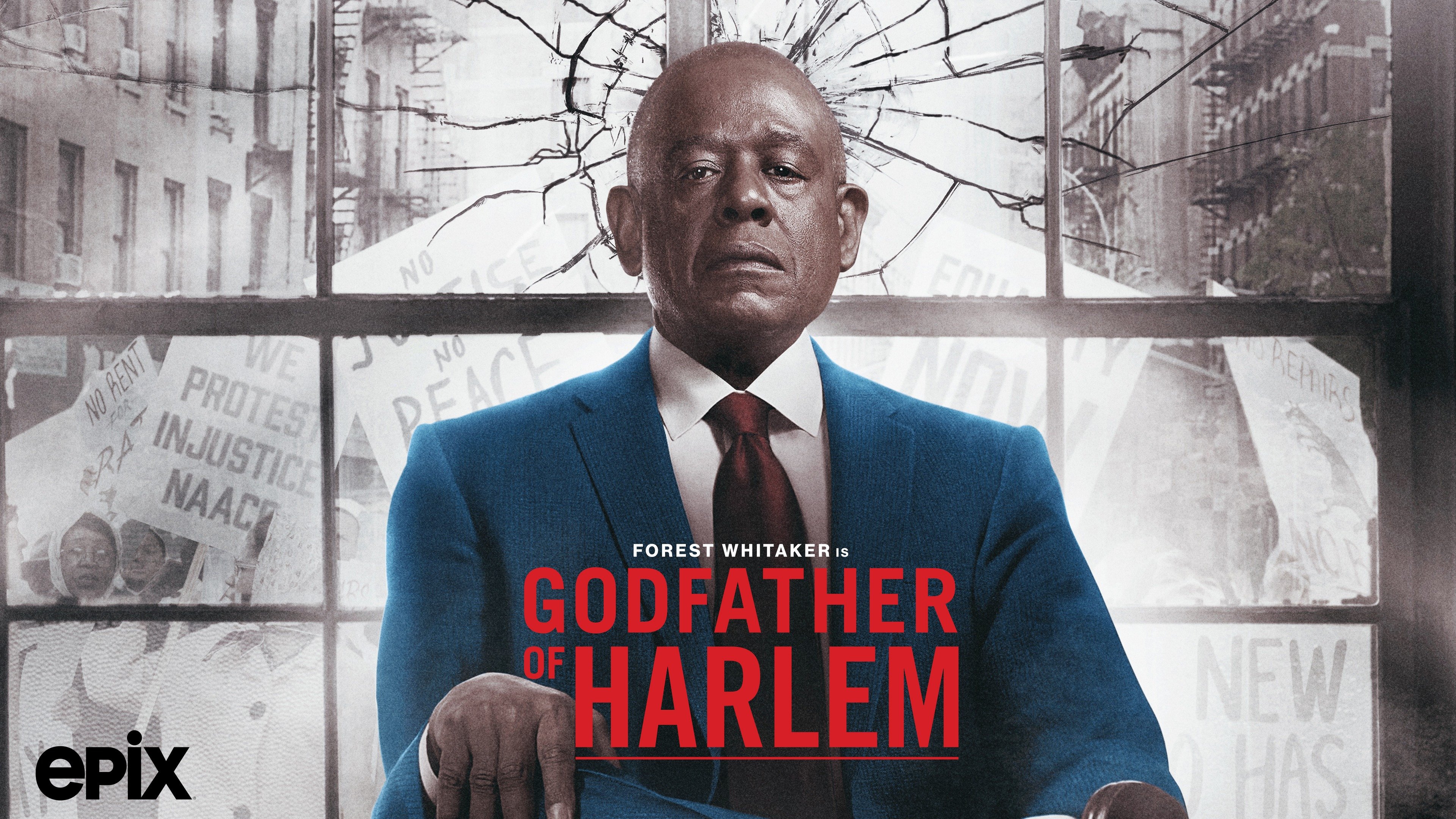 godfather of harlem rotten tomatoes