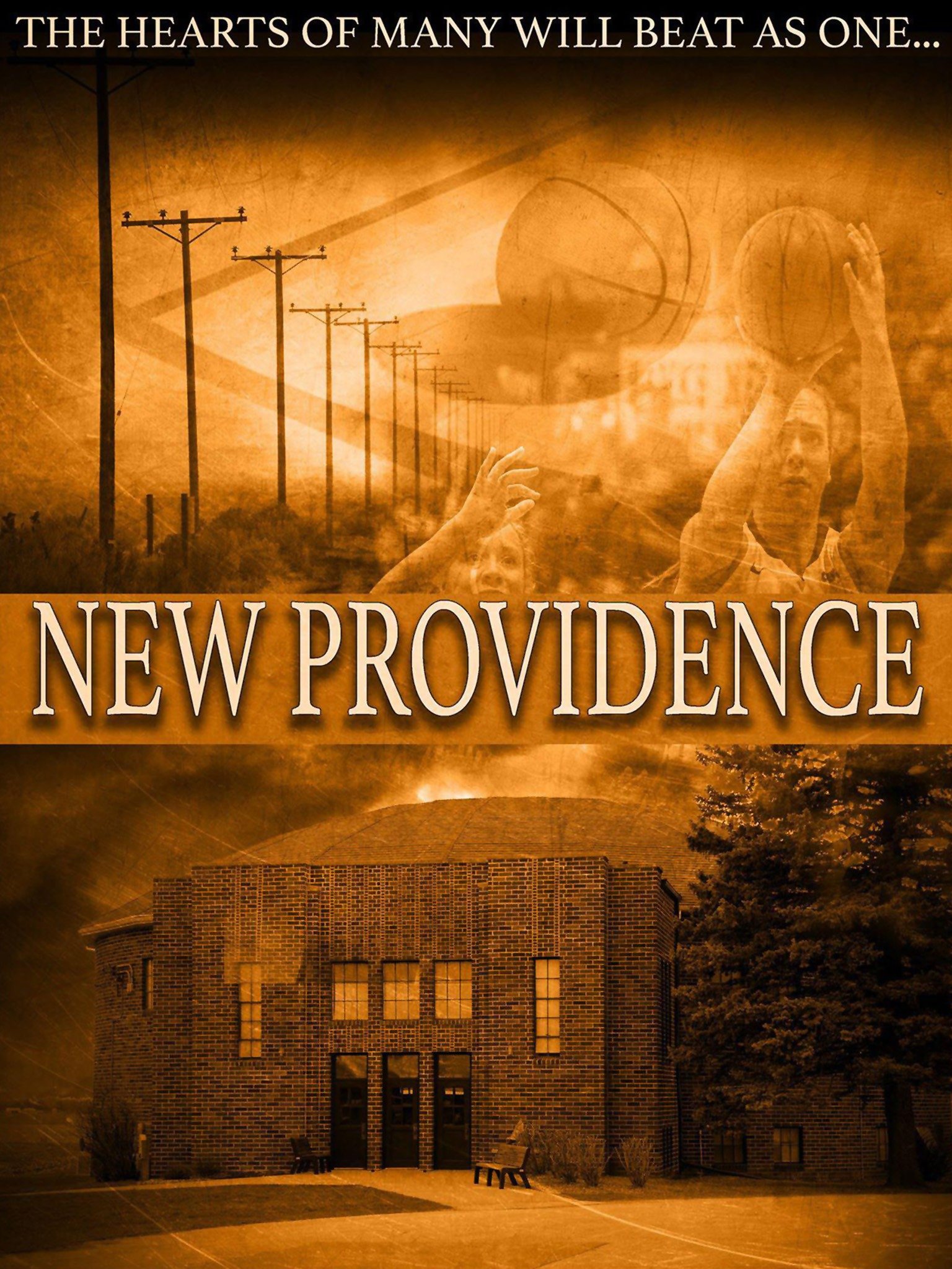 New Providence Pictures Rotten Tomatoes
