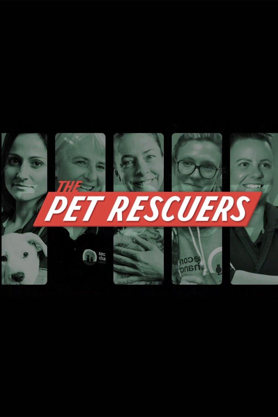 The Pet Rescuers Rotten Tomatoes