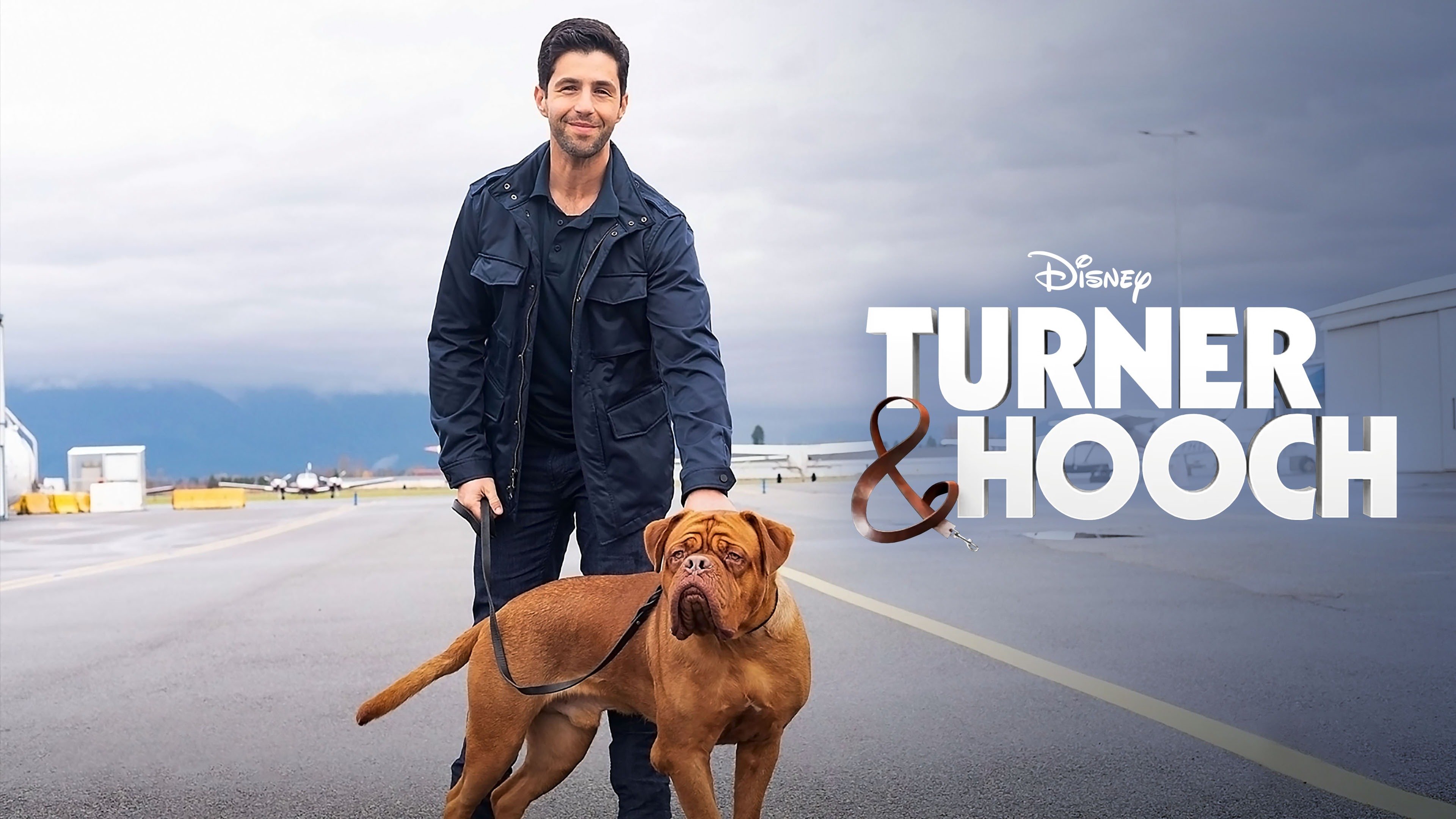 Turner & Hooch Trailers & Videos Rotten Tomatoes