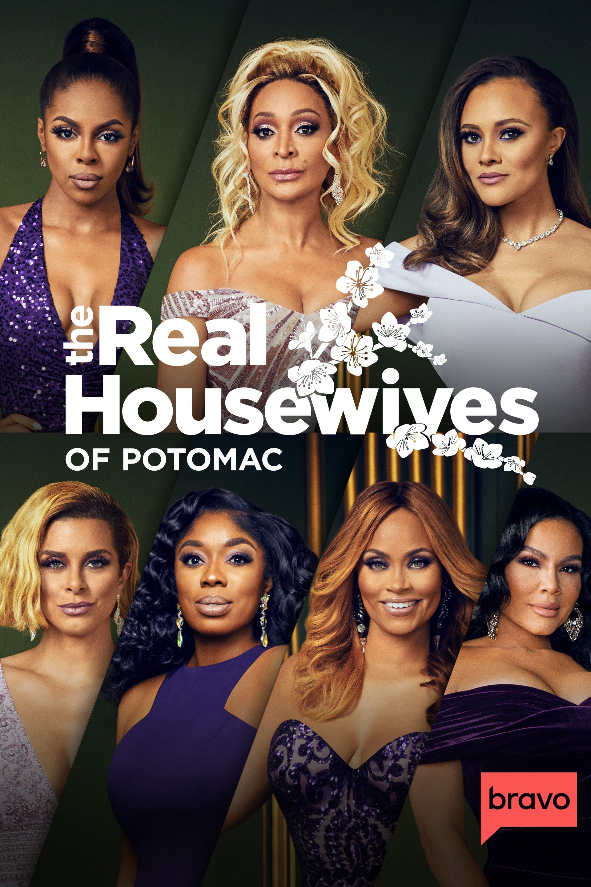 The Real Housewives of Potomac image pic