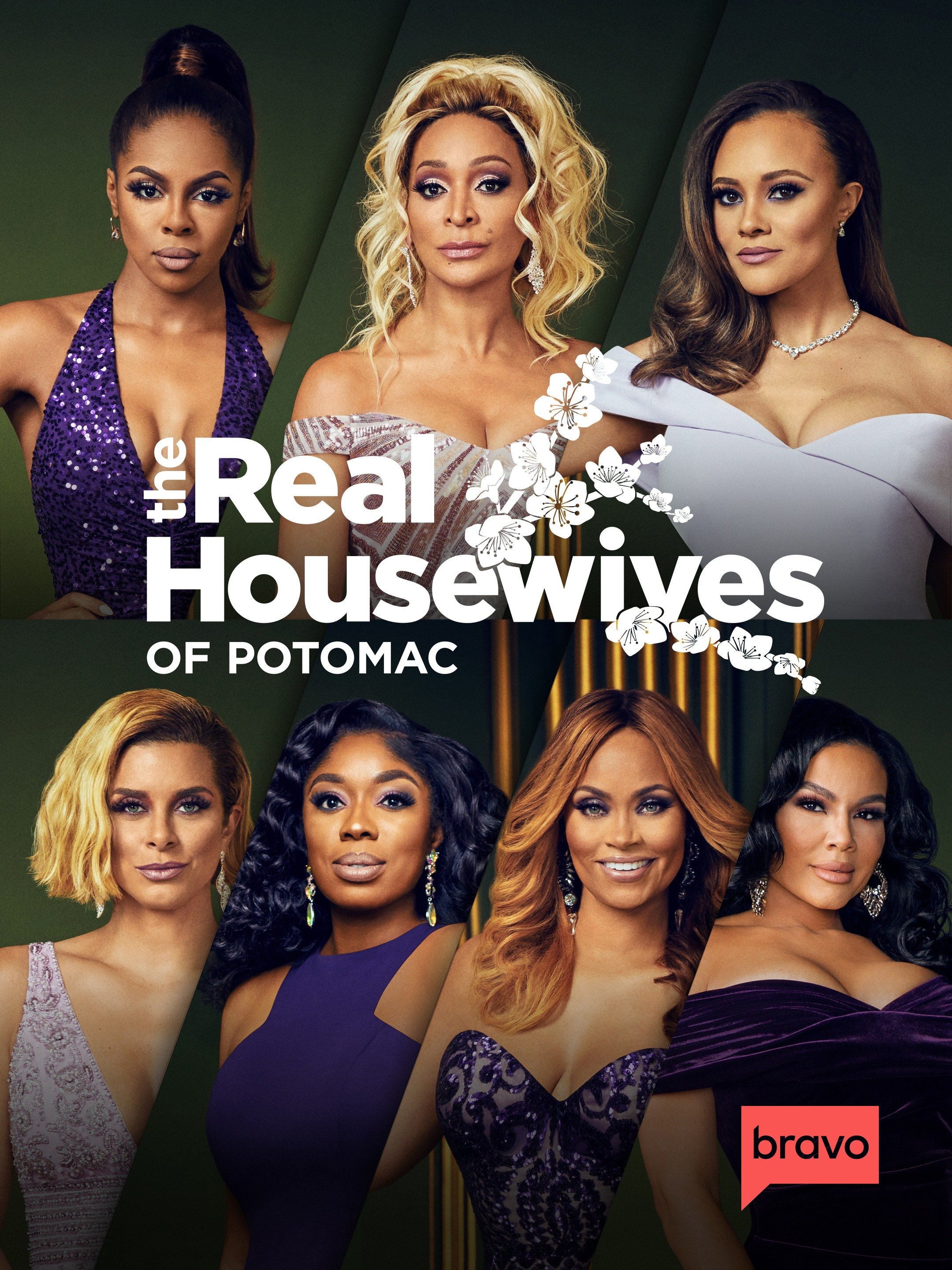 The Real Housewives of Potomac pic