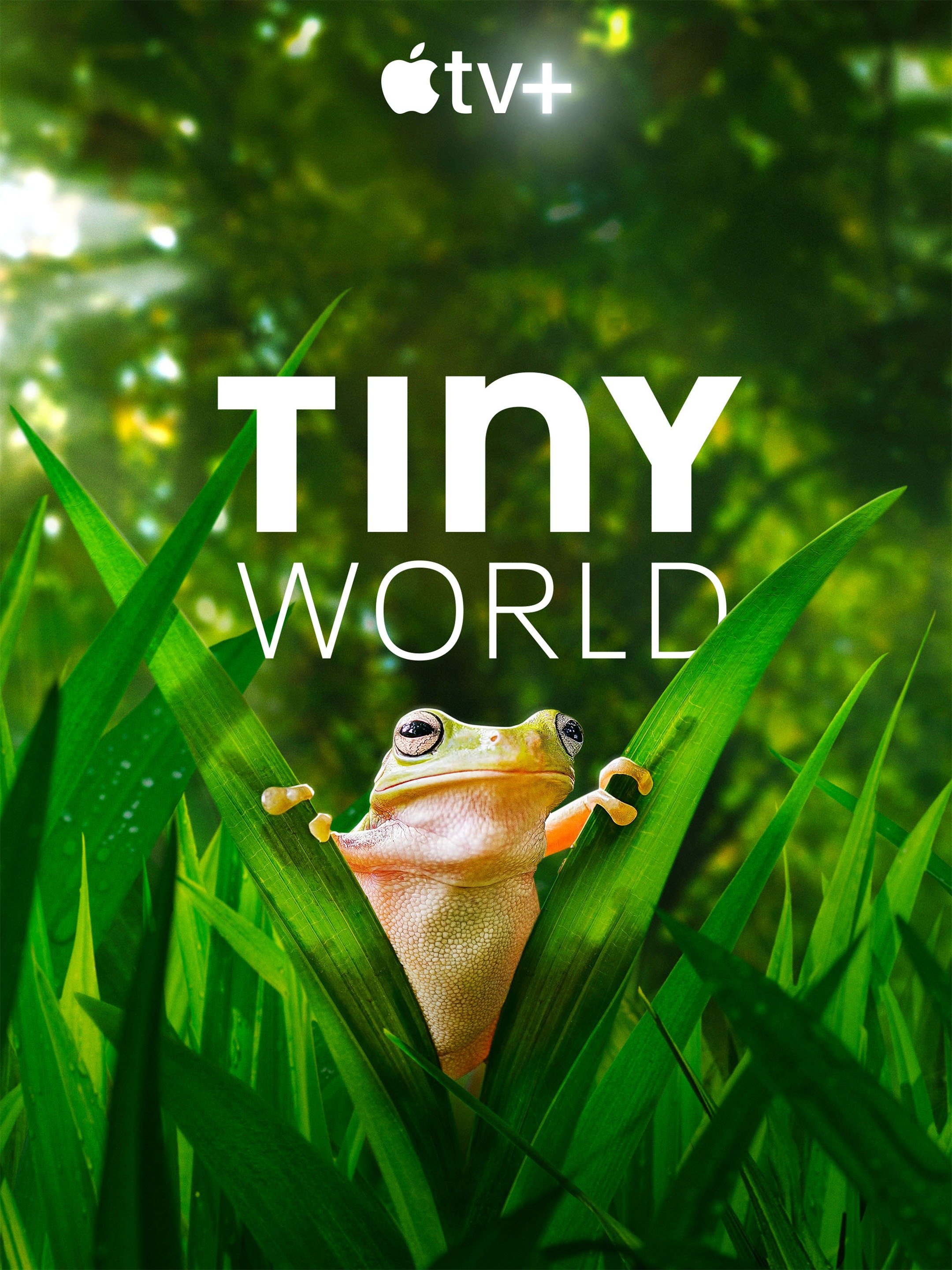 Tiny World Rotten Tomatoes