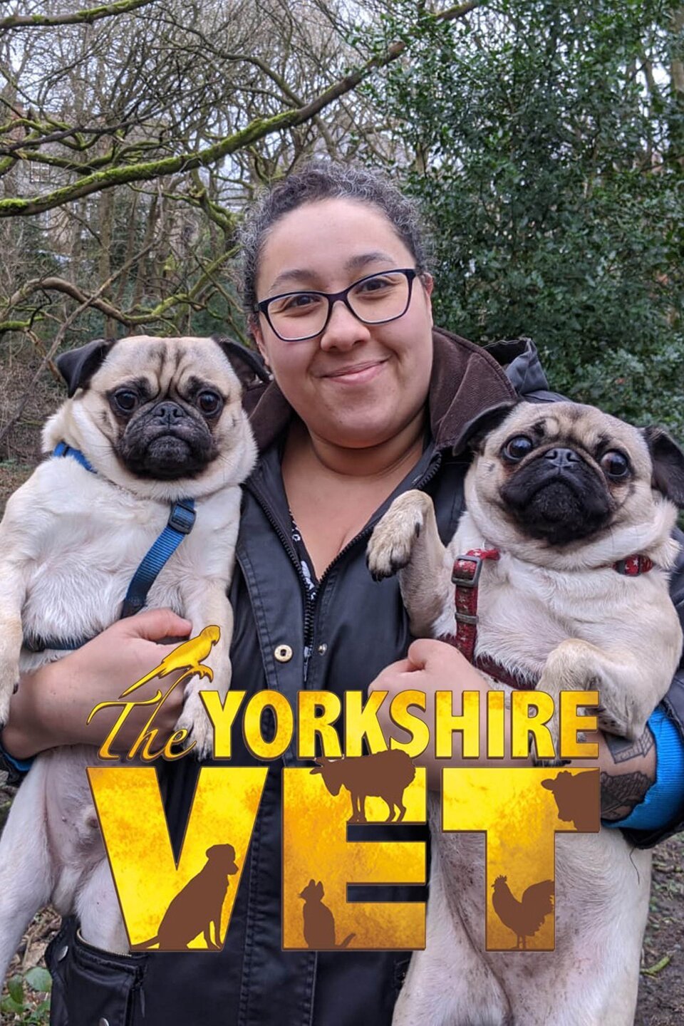 The Yorkshire Vet Rotten Tomatoes   P19760000 B V8 Aa 