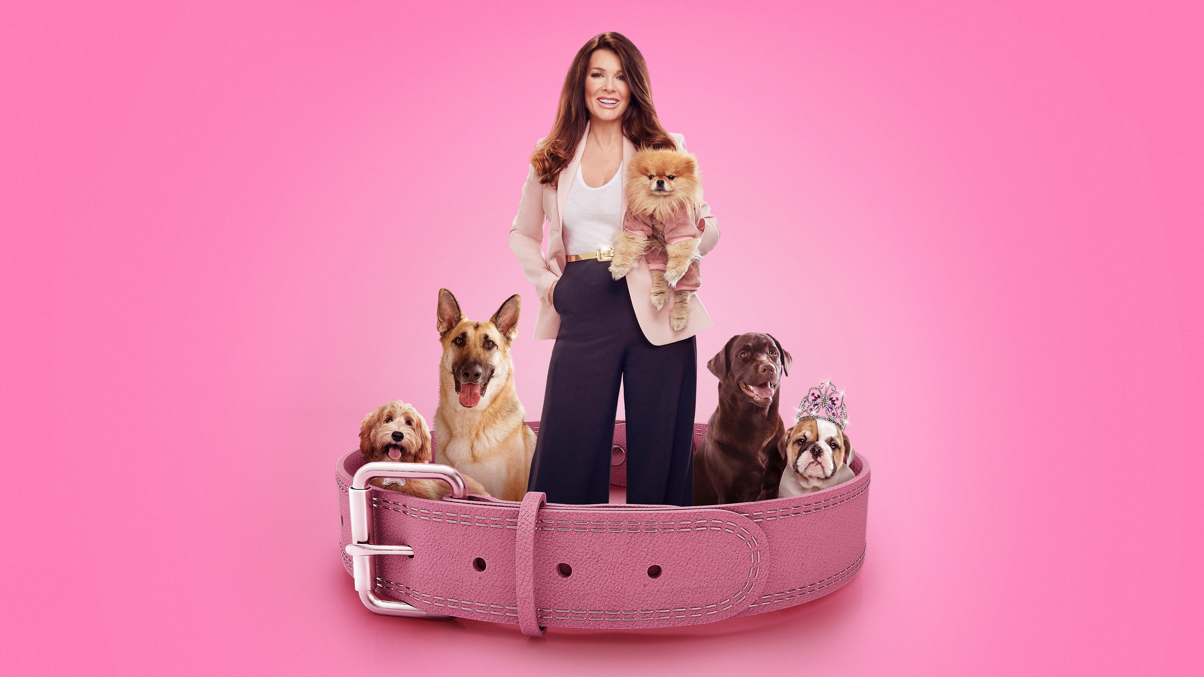 Vanderpump Dogs Rotten Tomatoes