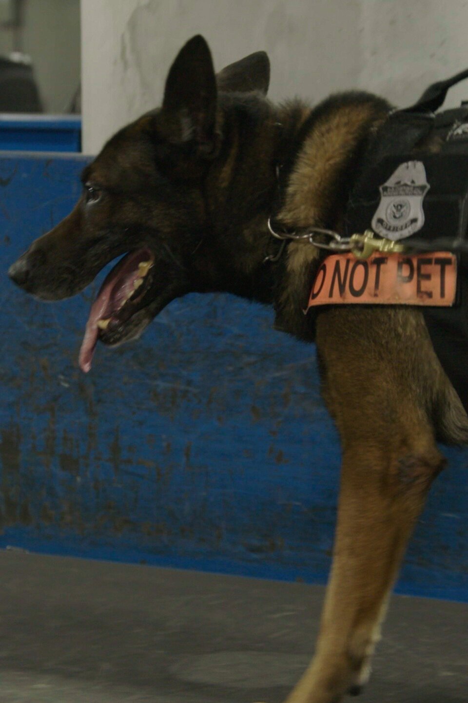 Meth Lab Takedown Pictures Rotten Tomatoes