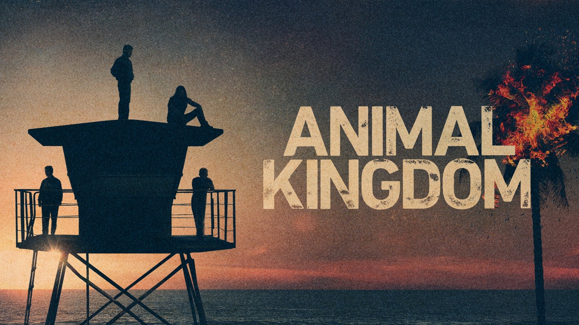 animal-kingdom-season-5-trailer-this-season-on-rotten-tomatoes