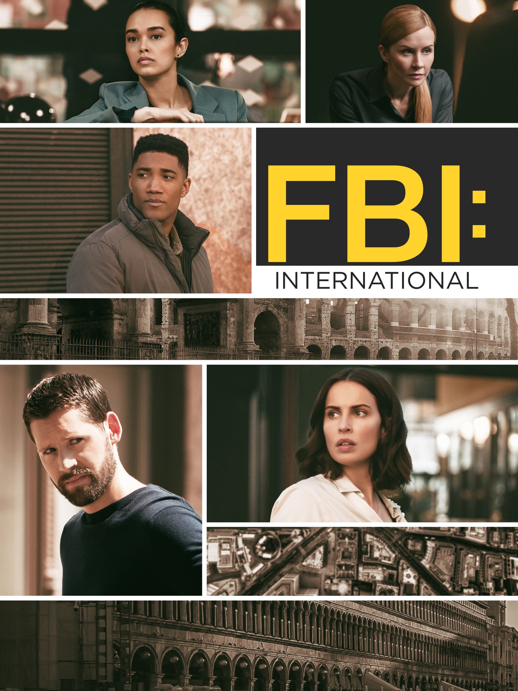 FBI International Rotten Tomatoes