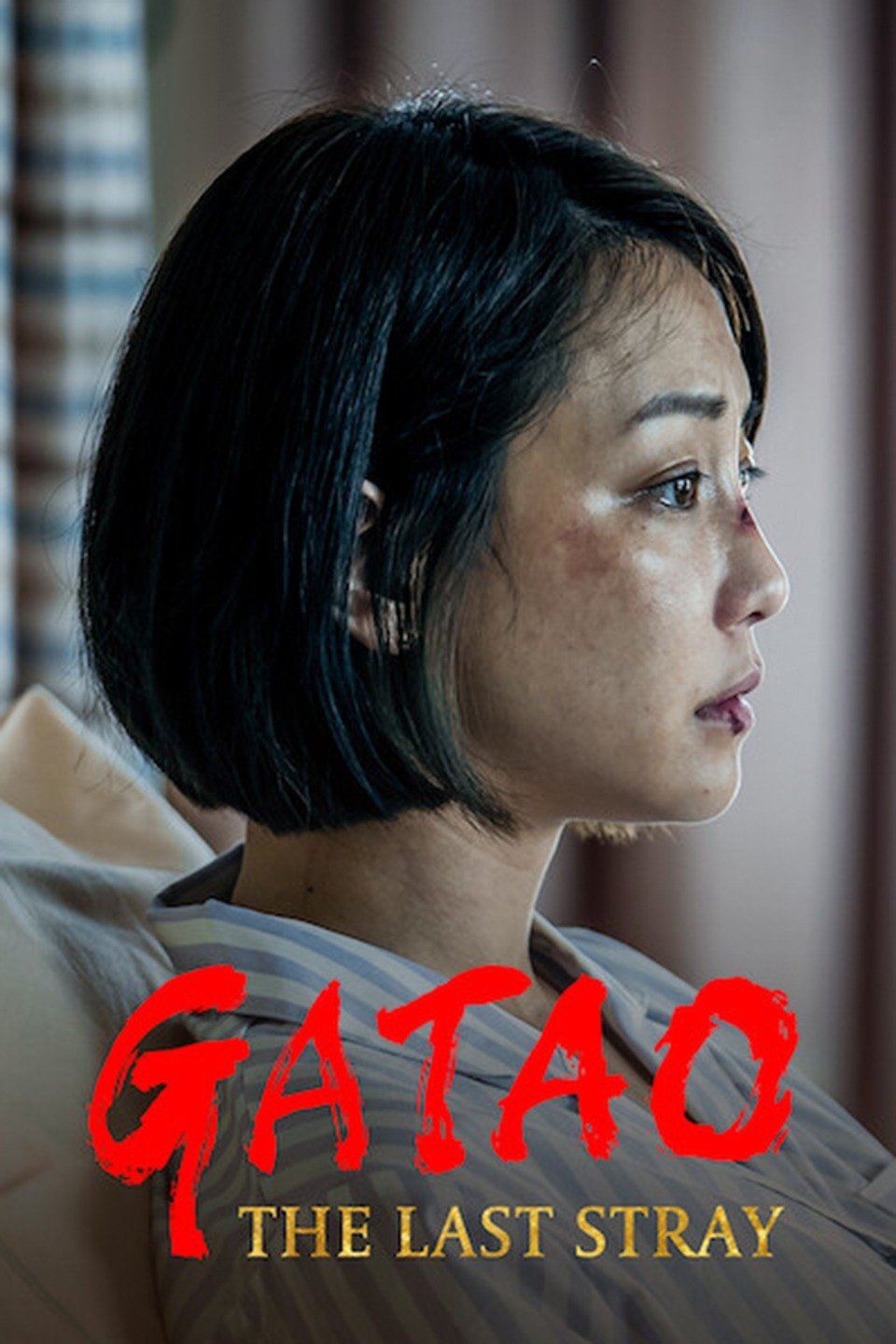 Gatao The Last Stray Pictures Rotten Tomatoes